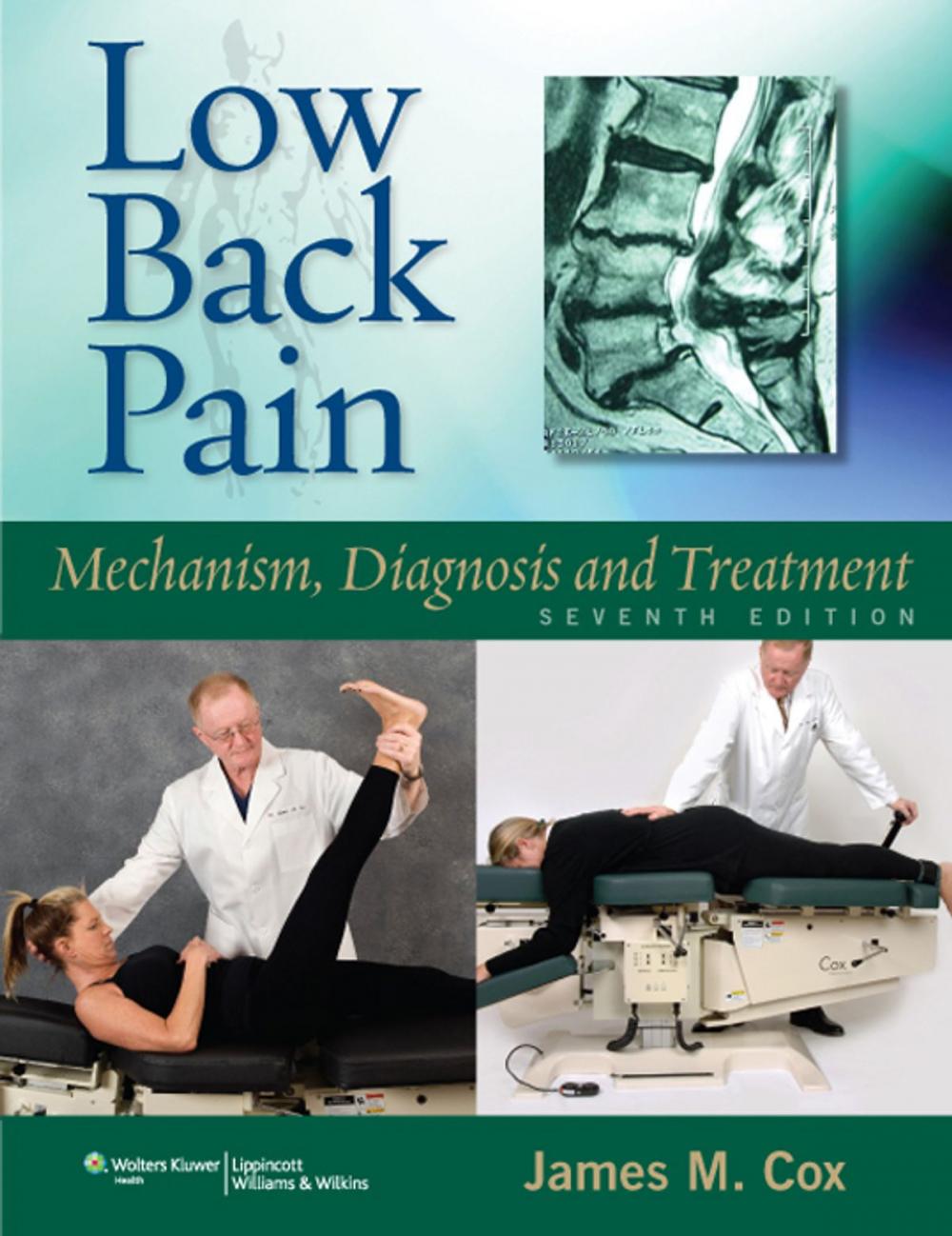 Big bigCover of Low Back Pain