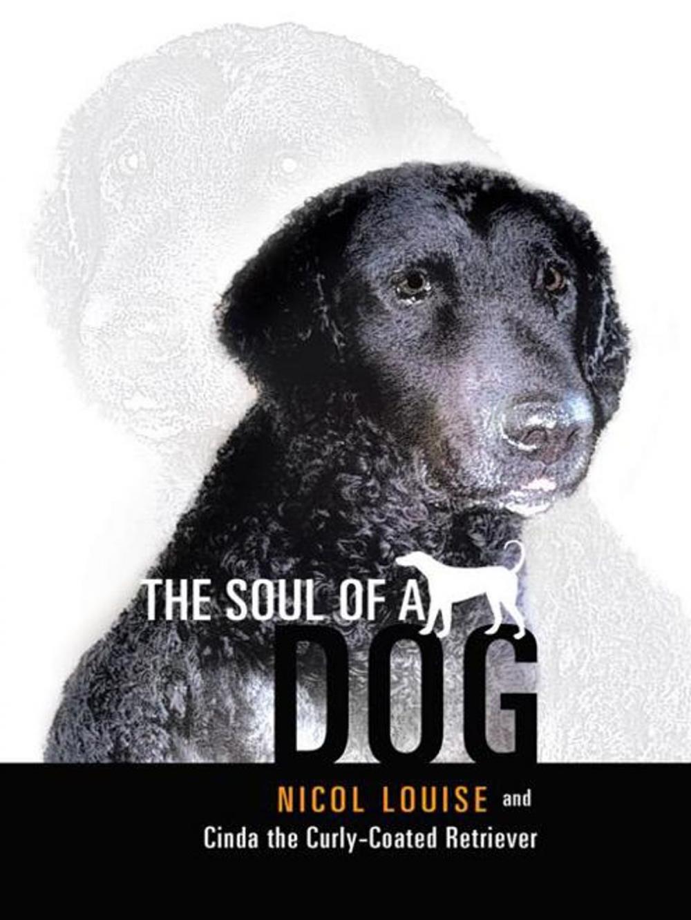 Big bigCover of The Soul of a Dog