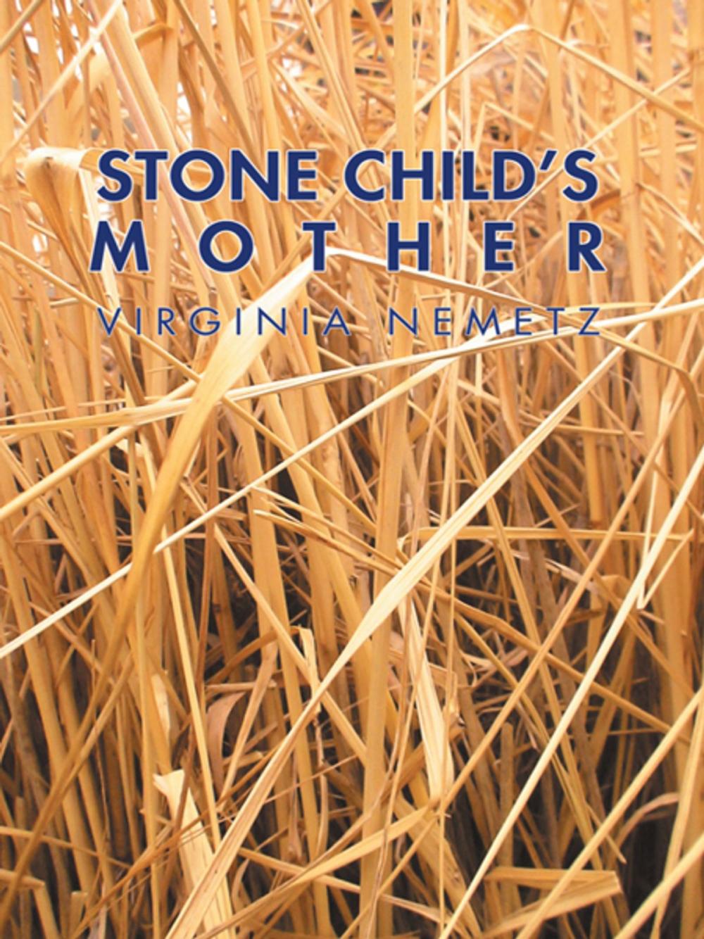 Big bigCover of Stone Child’S Mother