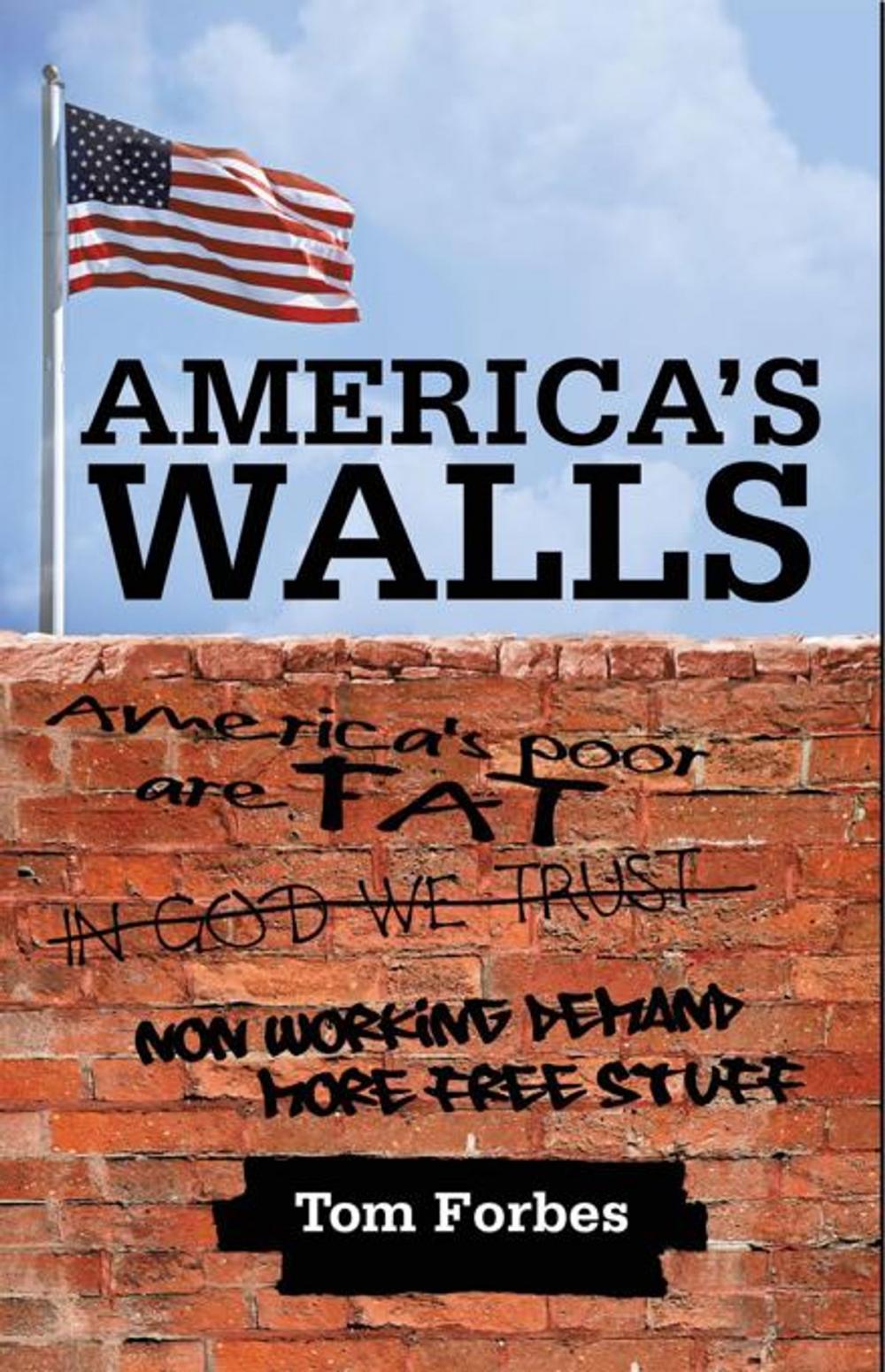 Big bigCover of America's Walls