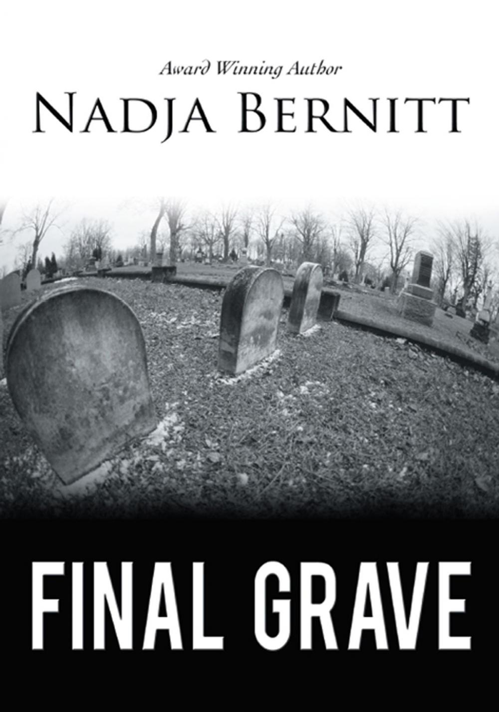 Big bigCover of Final Grave