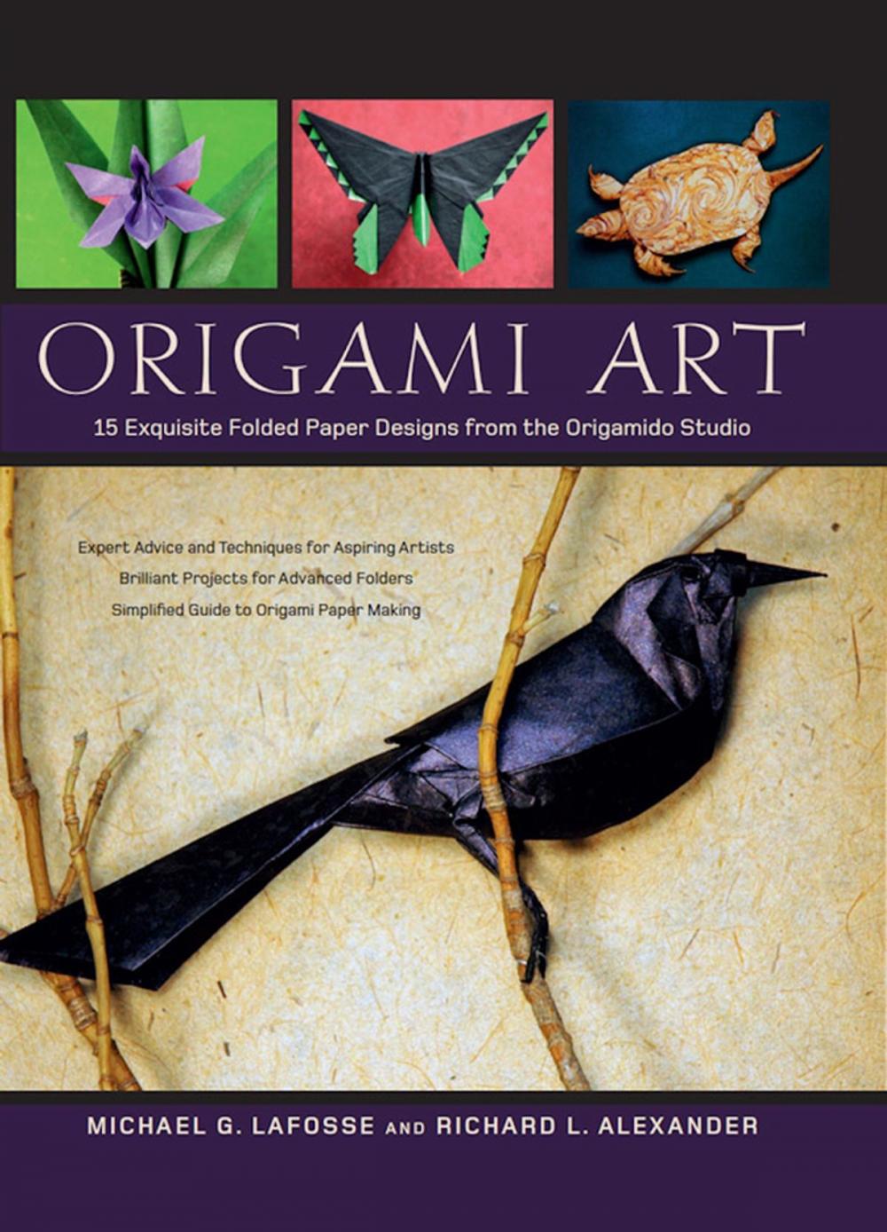 Big bigCover of Origami Art