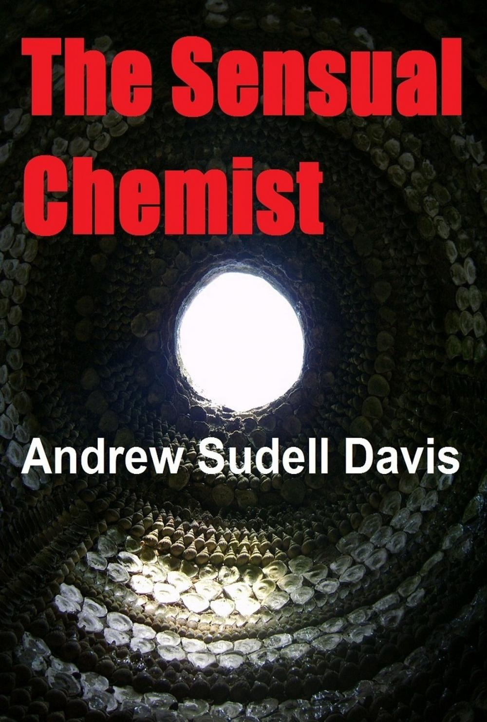 Big bigCover of The Sensual Chemist