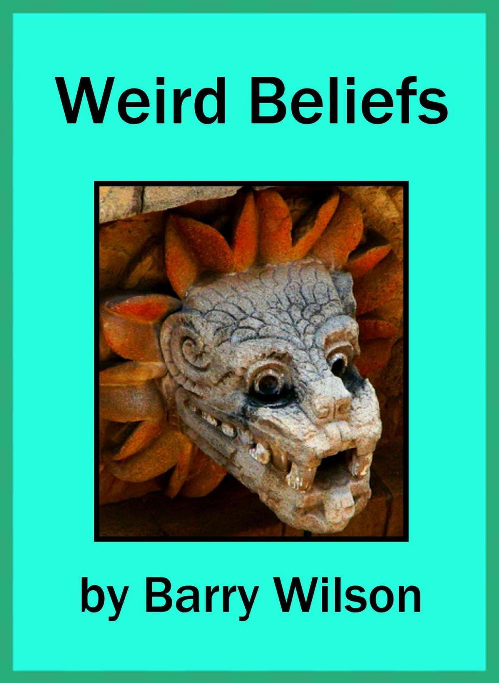 Big bigCover of Weird Beliefs