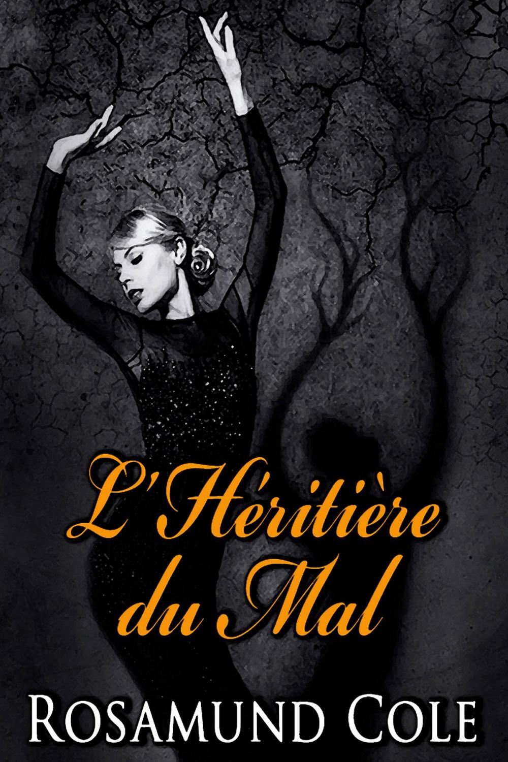 Big bigCover of L'Héritière du Mal