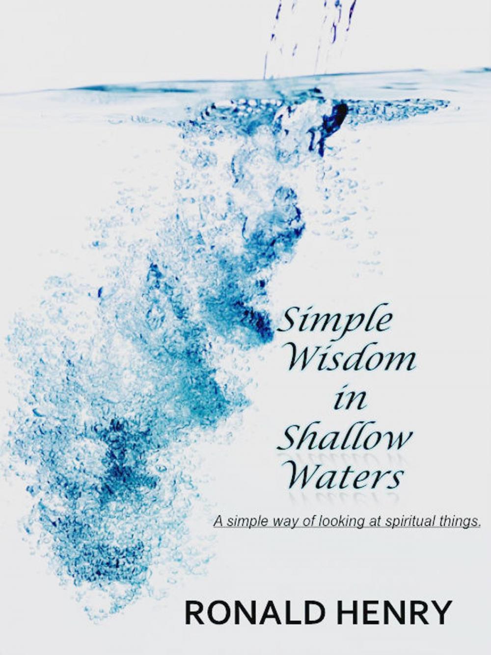 Big bigCover of Simple Wisdom in Shallow Waters