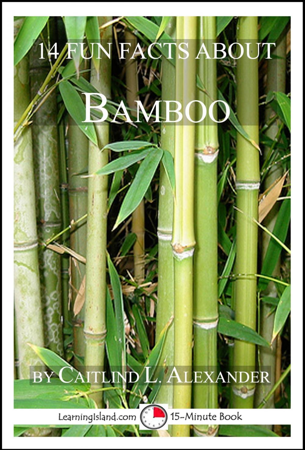 Big bigCover of 14 Fun Facts About Bamboo: A 15-Minute Book