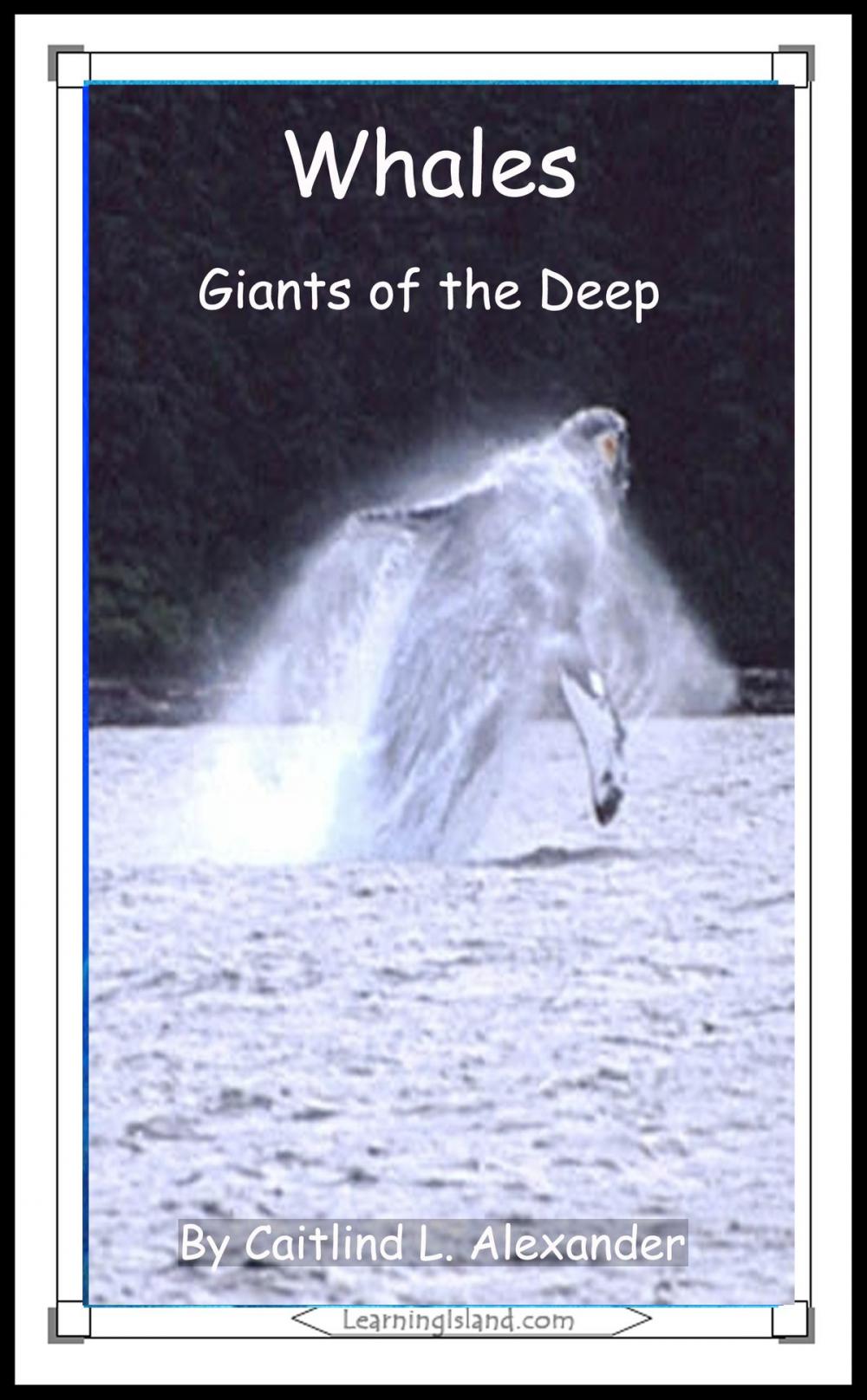 Big bigCover of Whales: Giants of the Deep