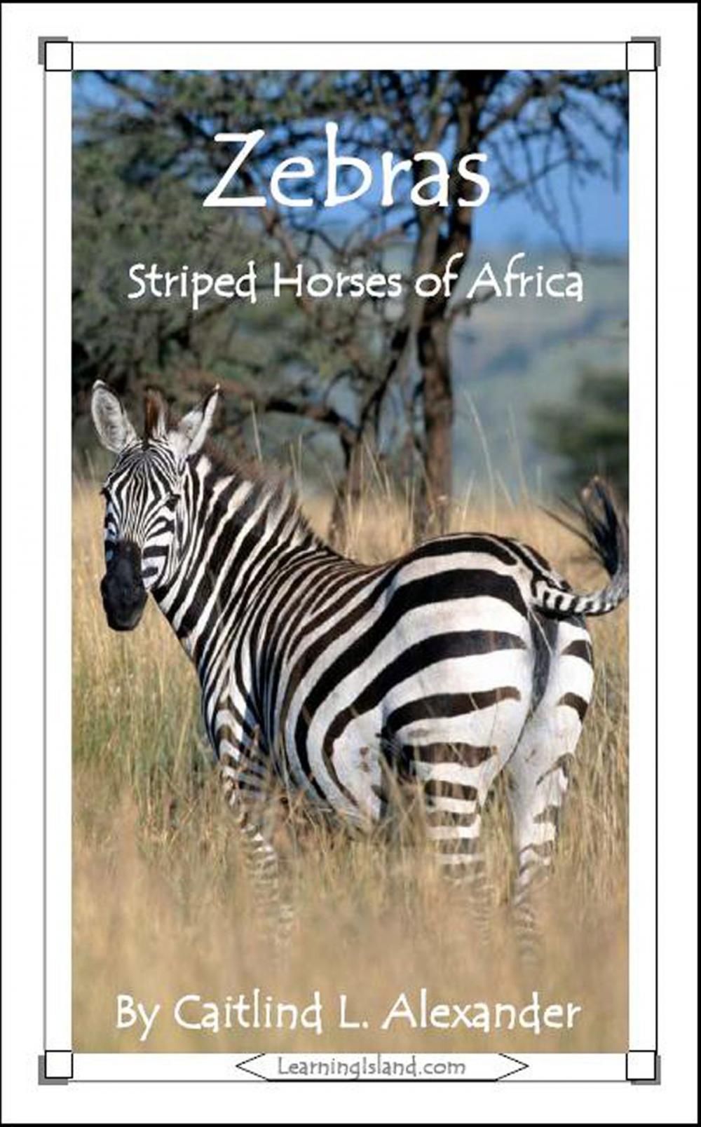 Big bigCover of Zebras: Striped Horses of Africa