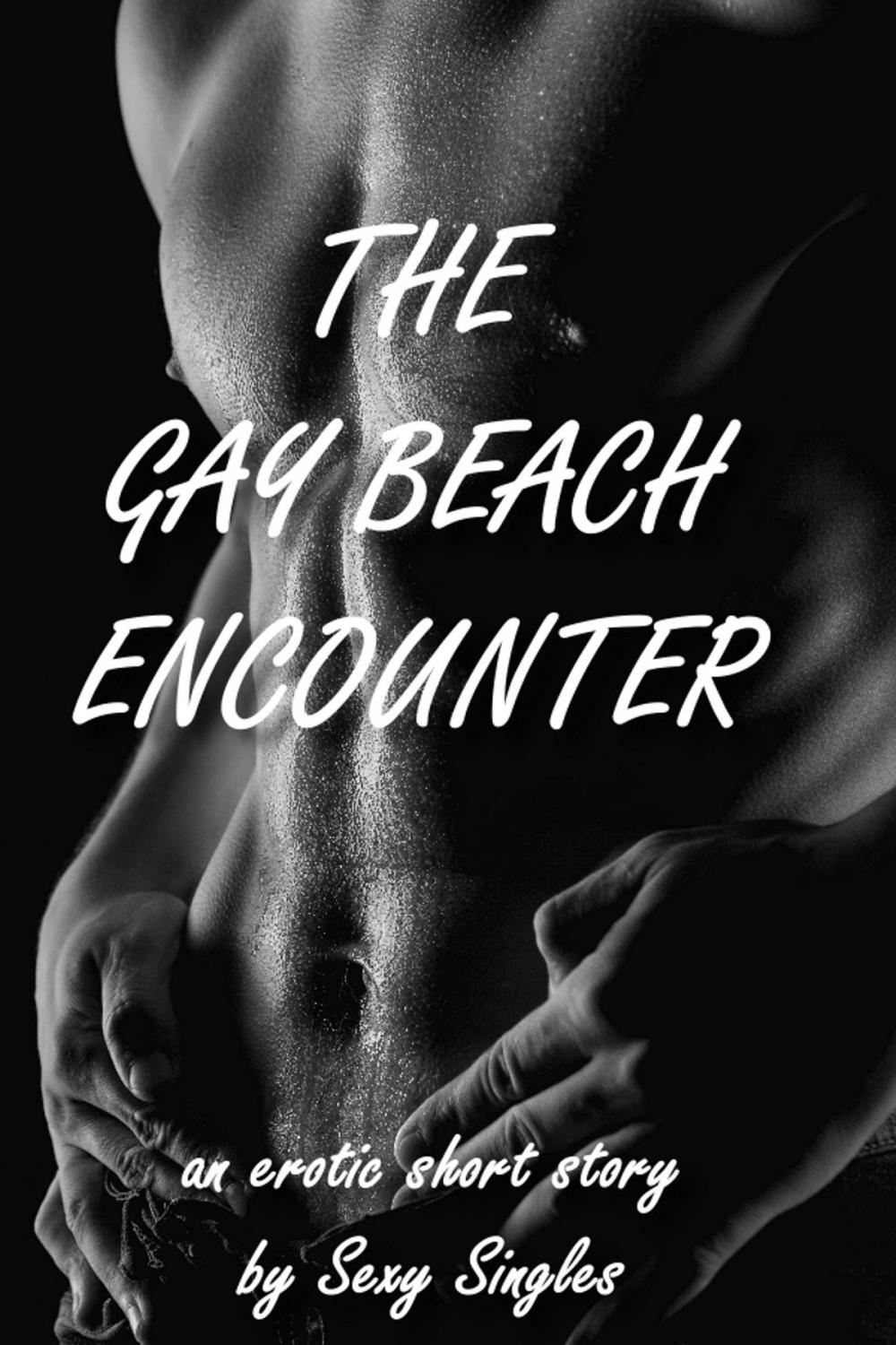 Big bigCover of The Gay Beach Encounter