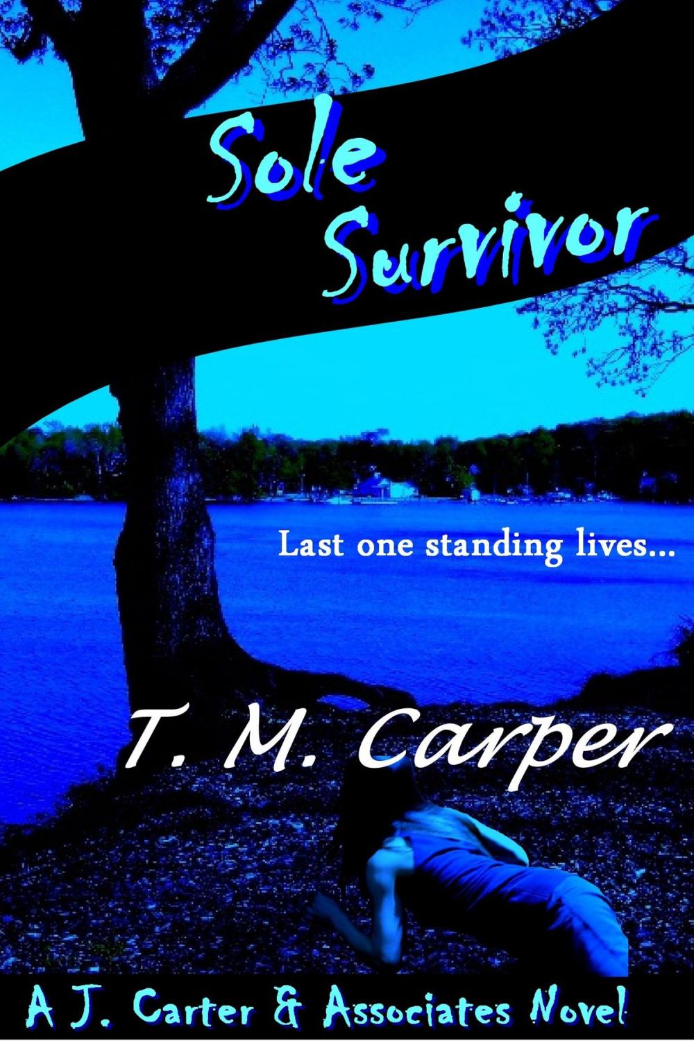 Big bigCover of Sole Survivor: A J. Carter & Associates Novel