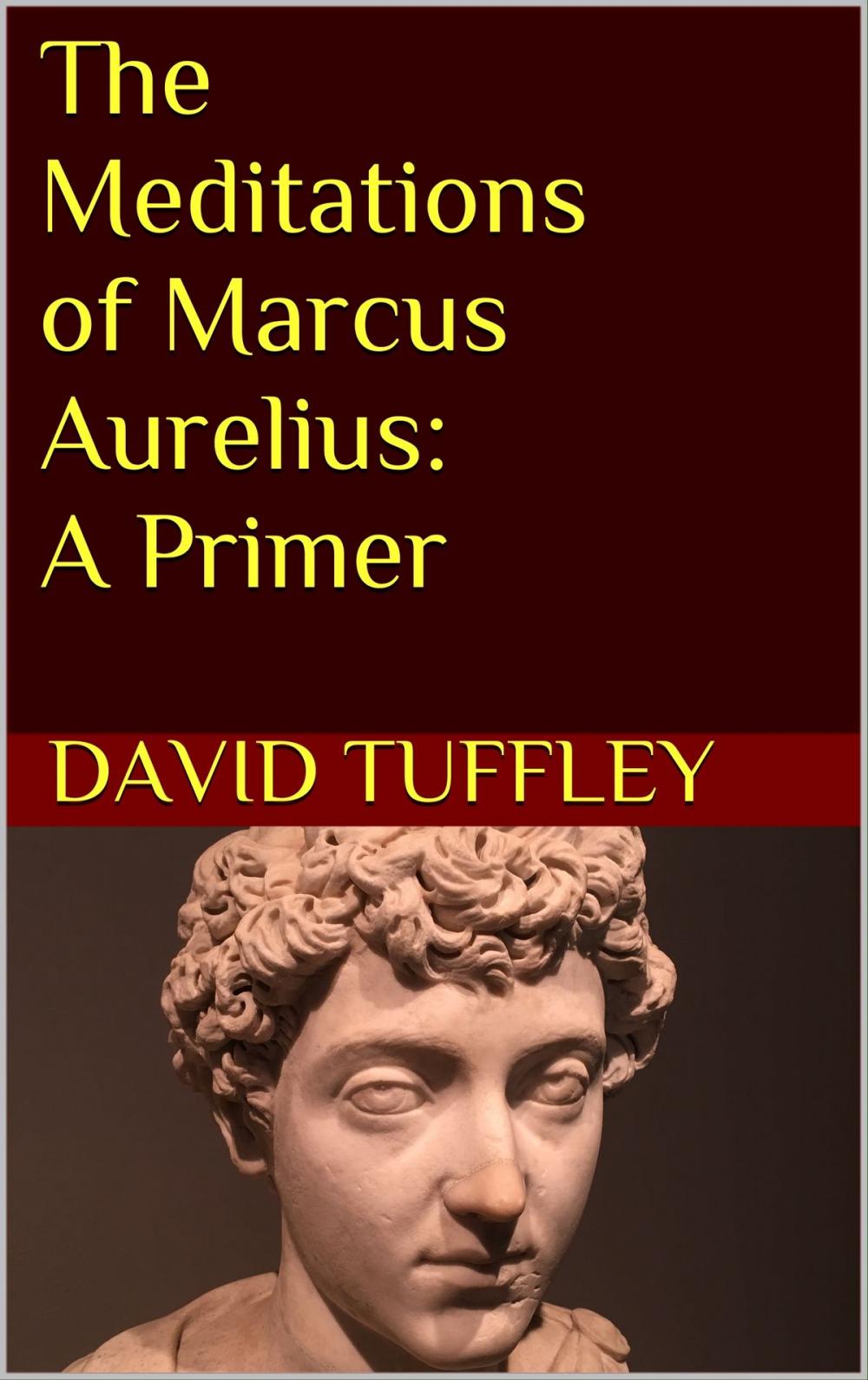 Big bigCover of The Meditations of Marcus Aurelius: A Primer