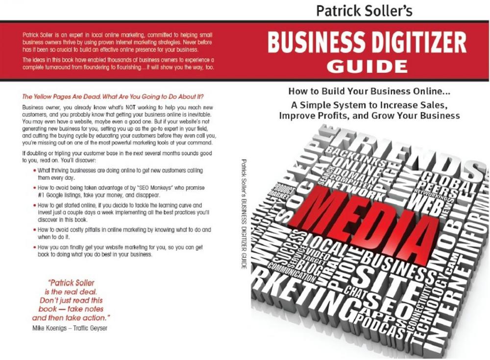 Big bigCover of Patrick Soller's Guide to Digitizing Your Business