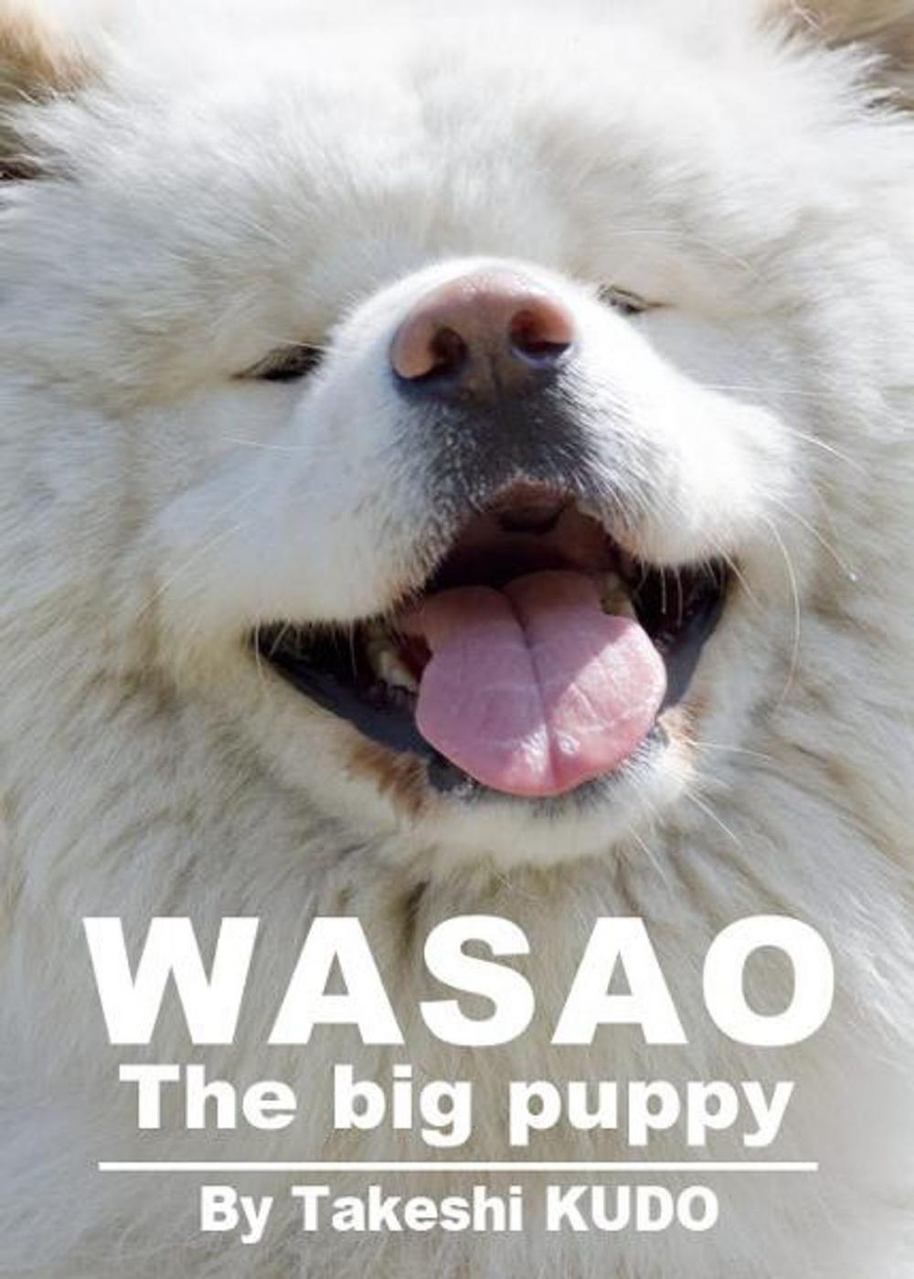 Big bigCover of WASAO The Big Puppy