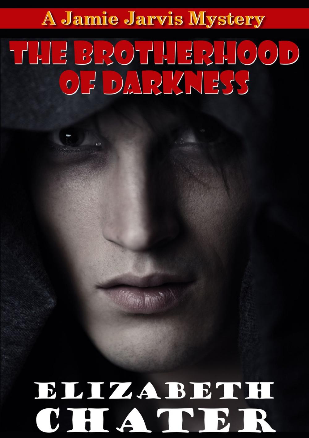 Big bigCover of The Brotherhood of Darkness