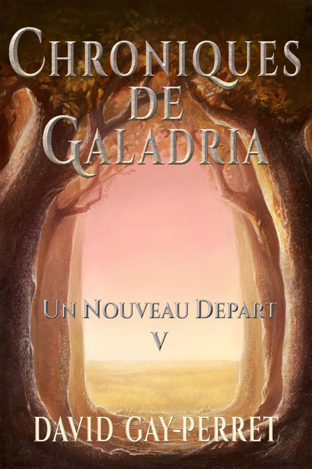 Big bigCover of Chroniques de Galadria V: Un Nouveau Départ