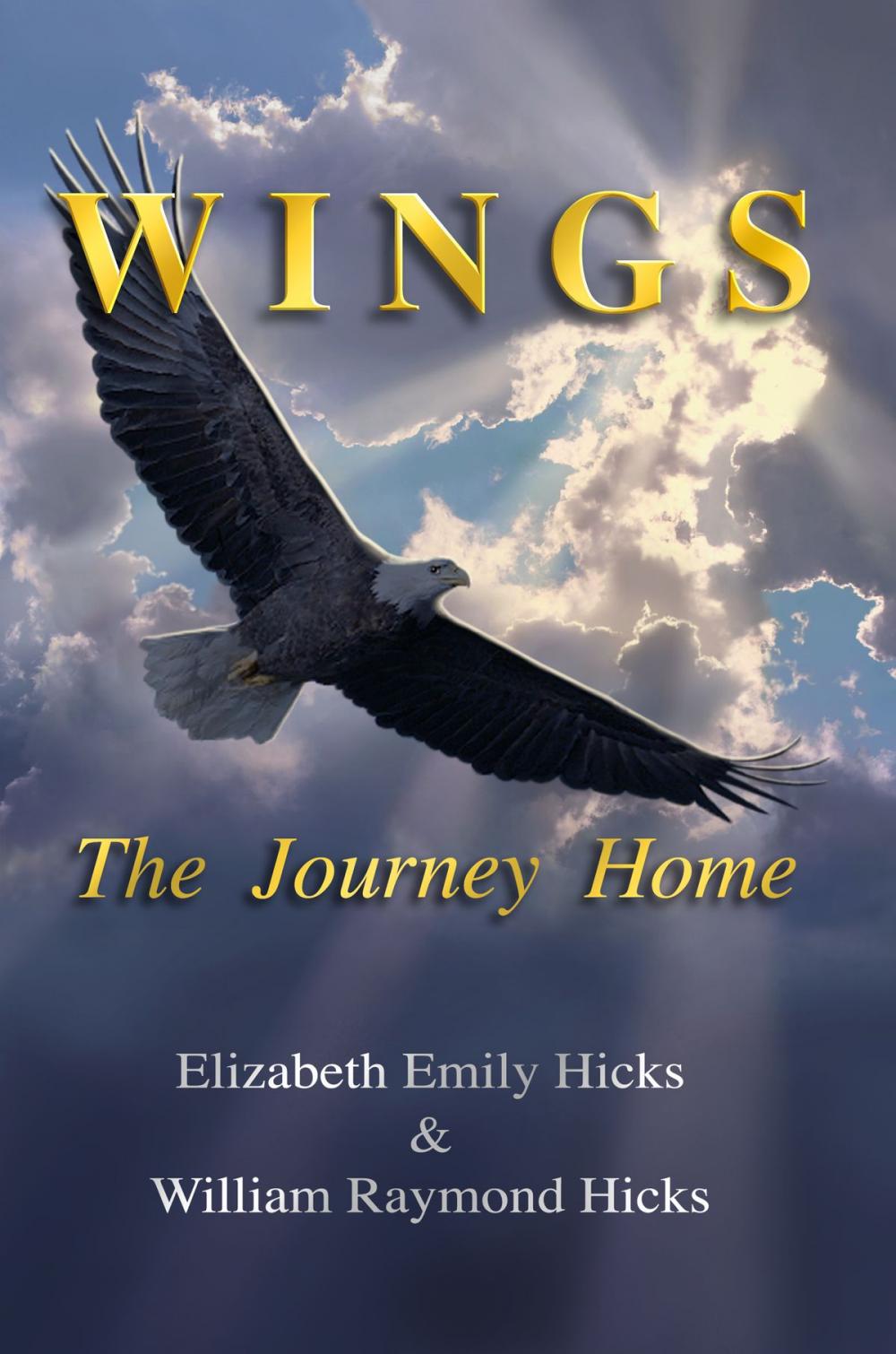 Big bigCover of Wings: The Journey Home