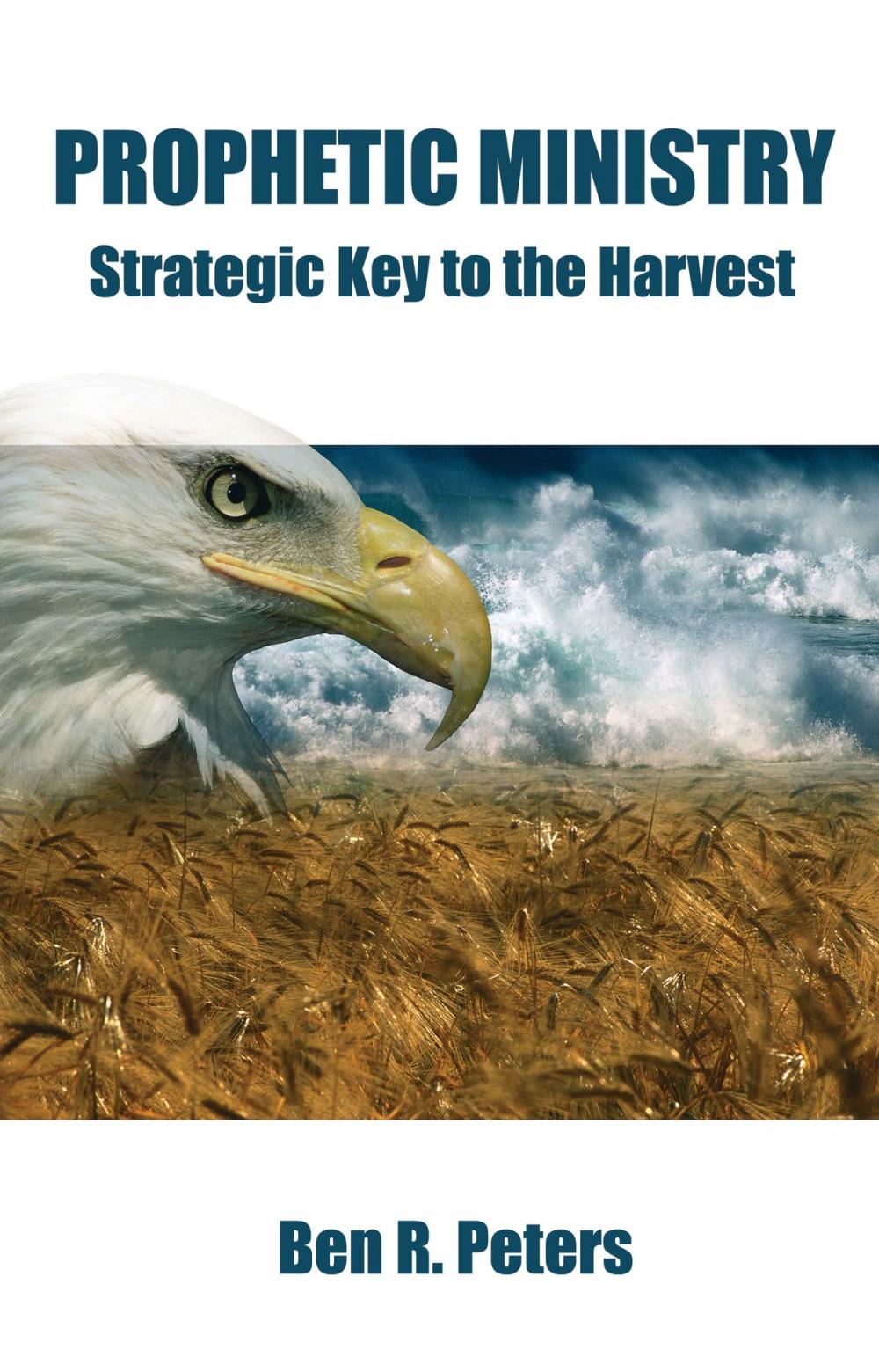 Big bigCover of Prophetic Ministry: Strategic Key to the Harvest