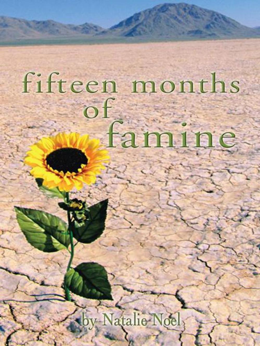 Big bigCover of Fifteen Months of Famine