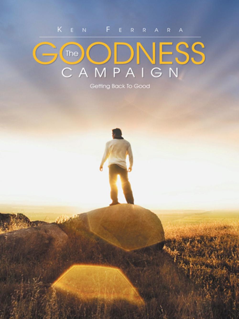 Big bigCover of The Goodness Campaign