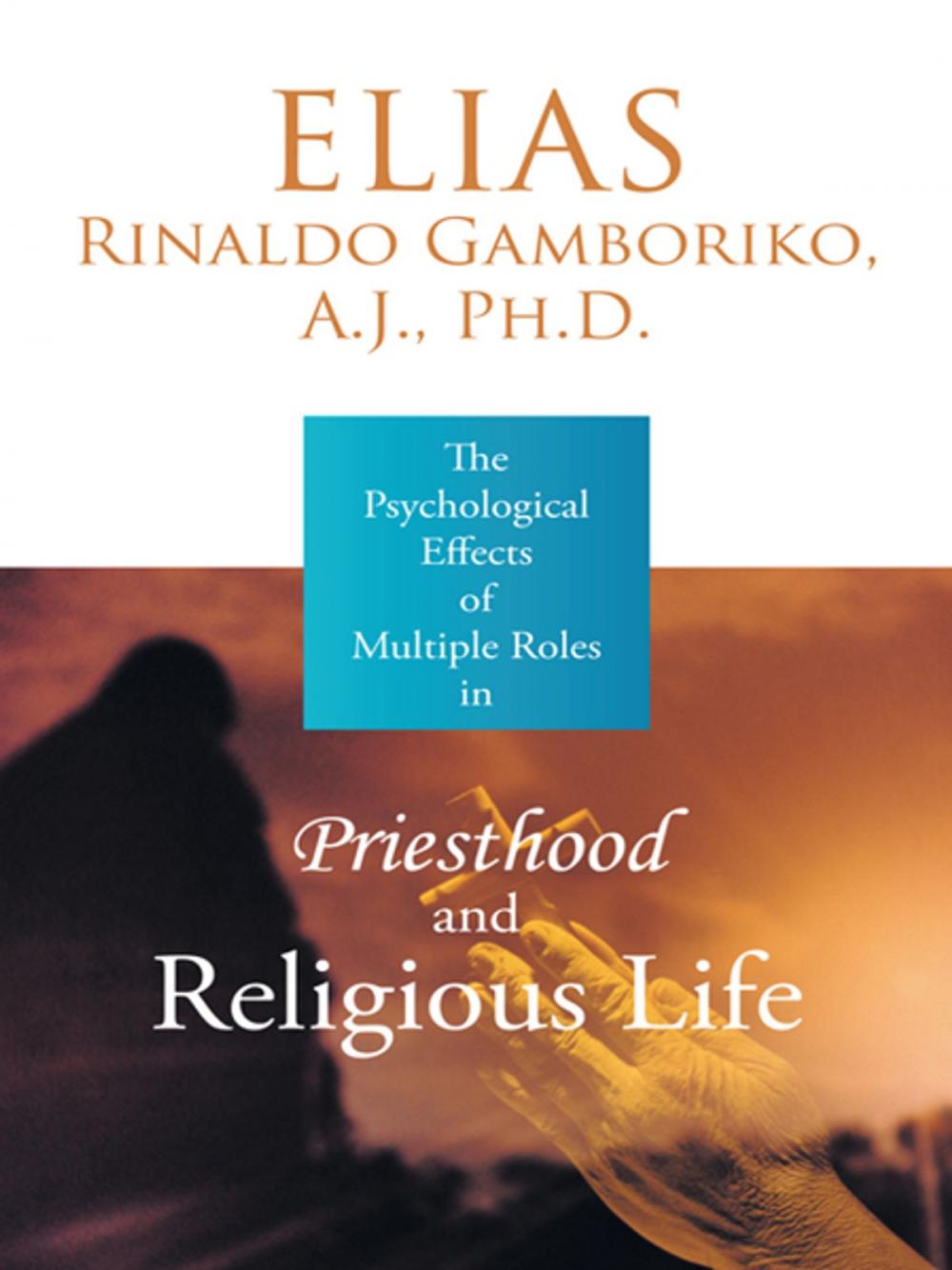 Big bigCover of The Psychological Effects of Multiple Roles in Priesthood and Religious Life