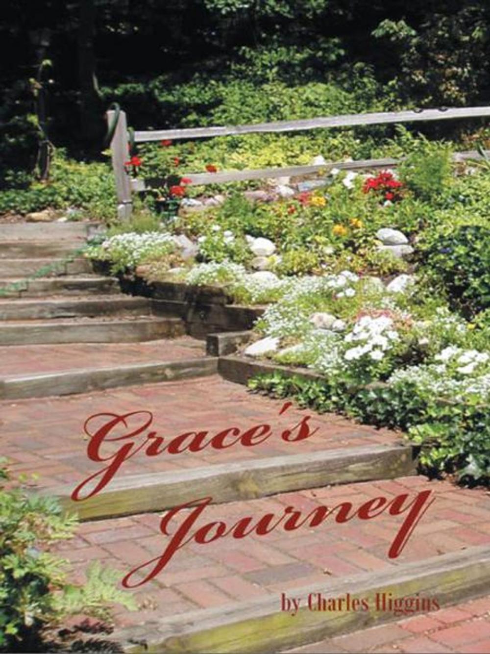 Big bigCover of Grace's Journey