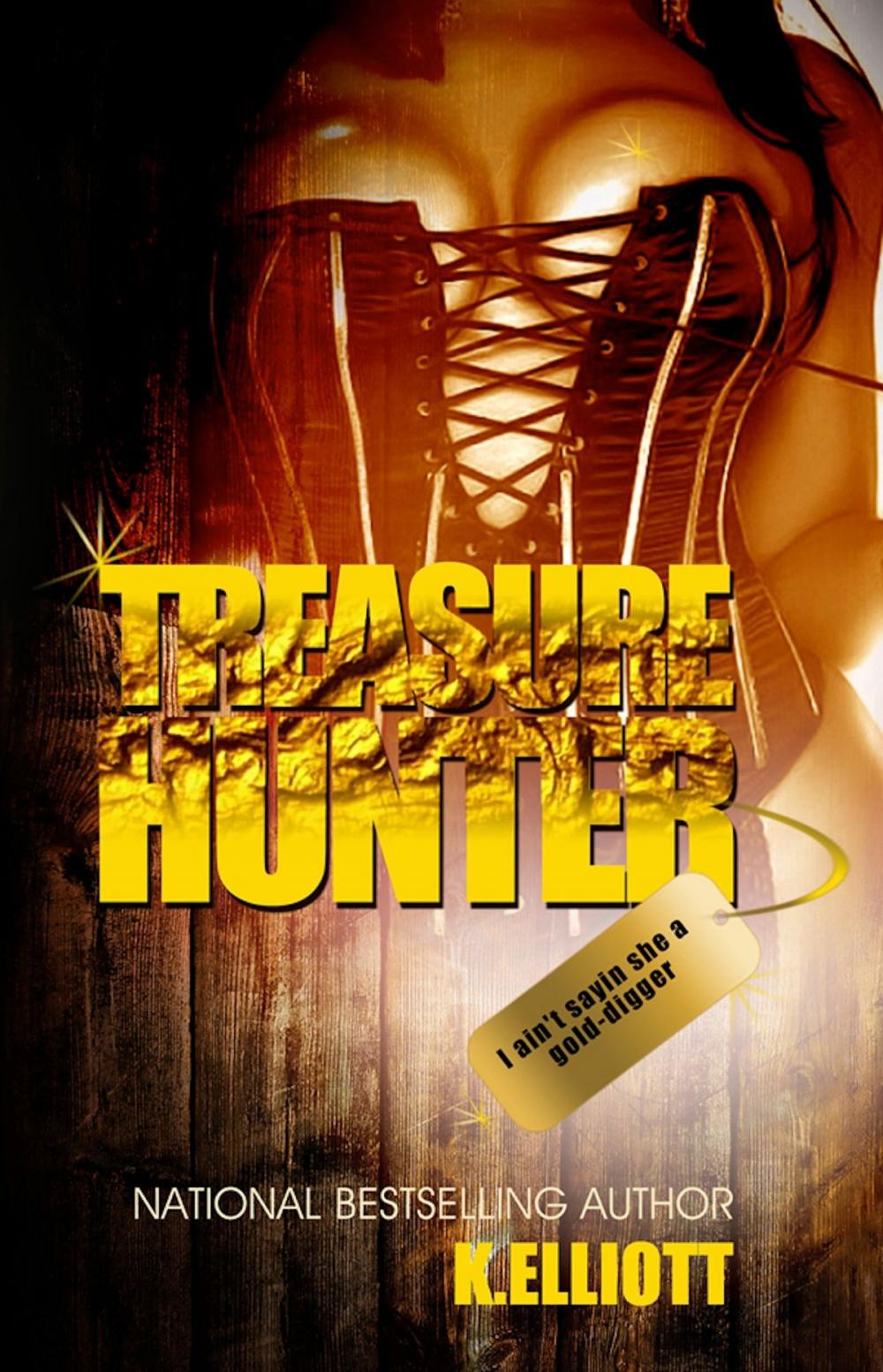 Big bigCover of Treasure Hunter