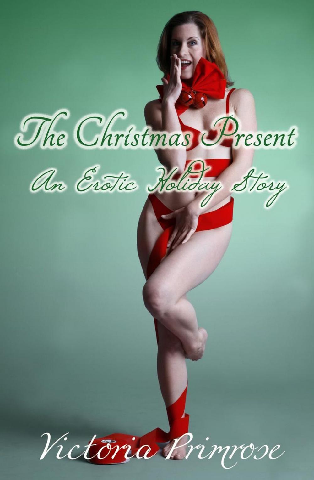 Big bigCover of The Christmas Present: An Erotic Holiday Story