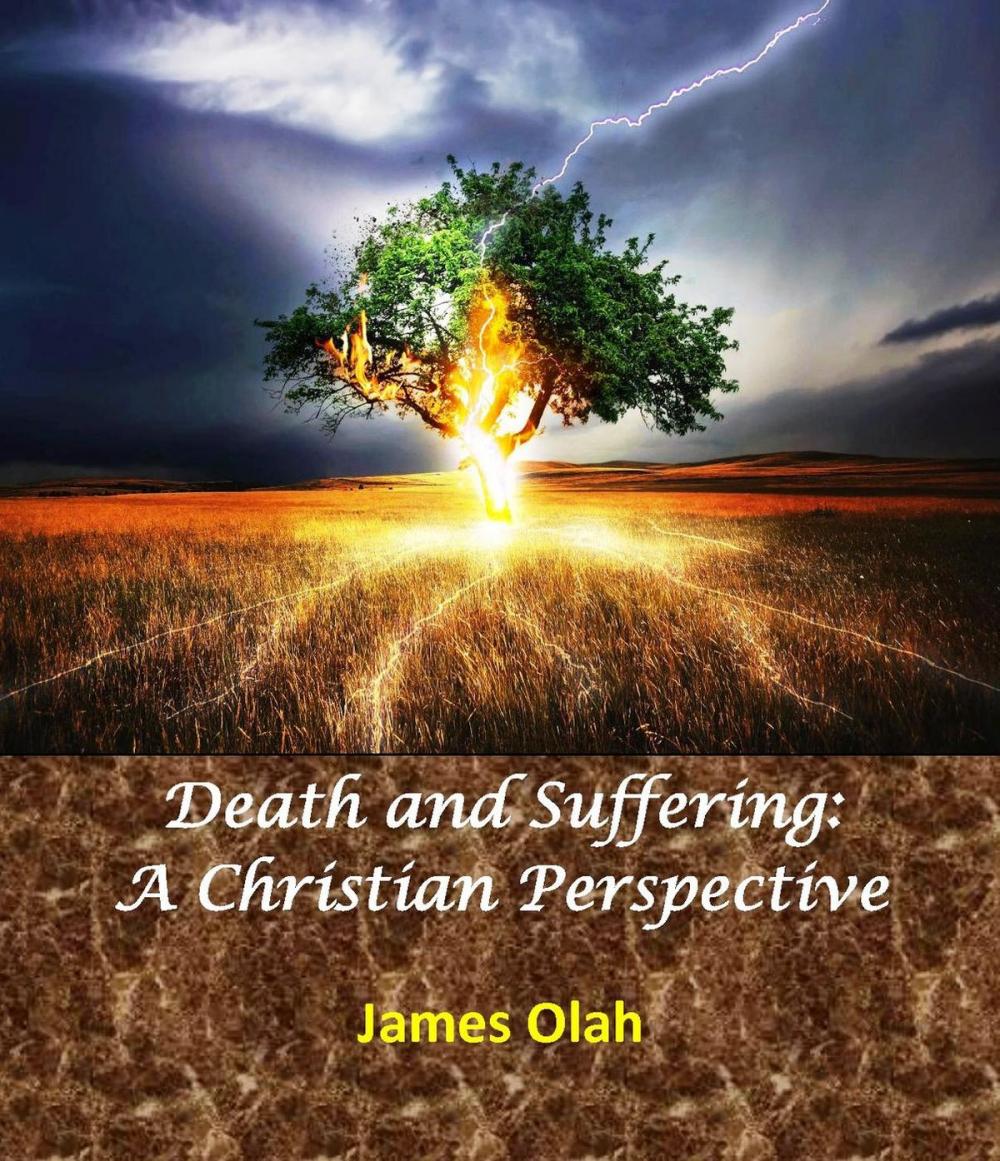Big bigCover of Death and Suffering: A Christian Perspective
