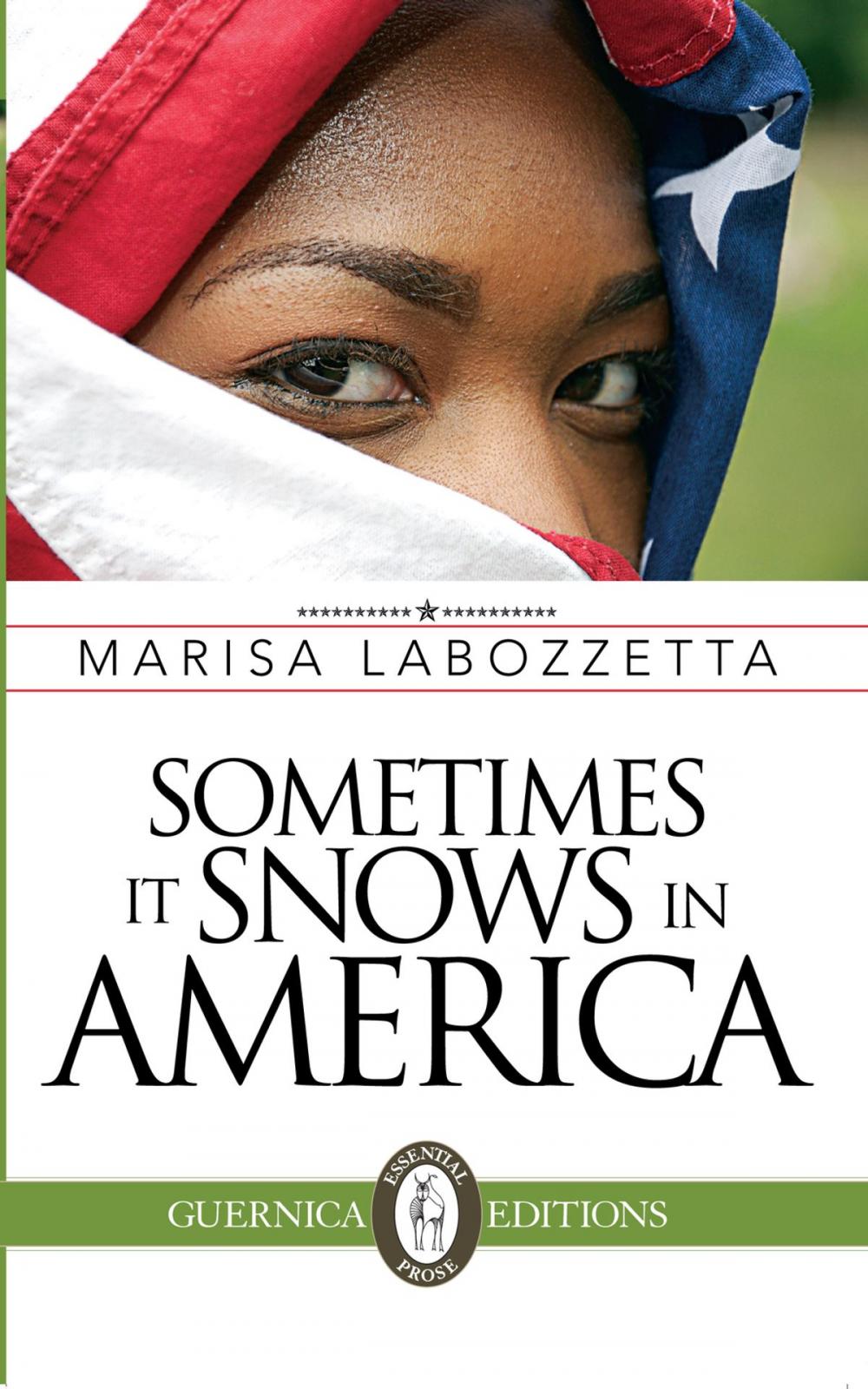 Big bigCover of Sometimes It Snows In America