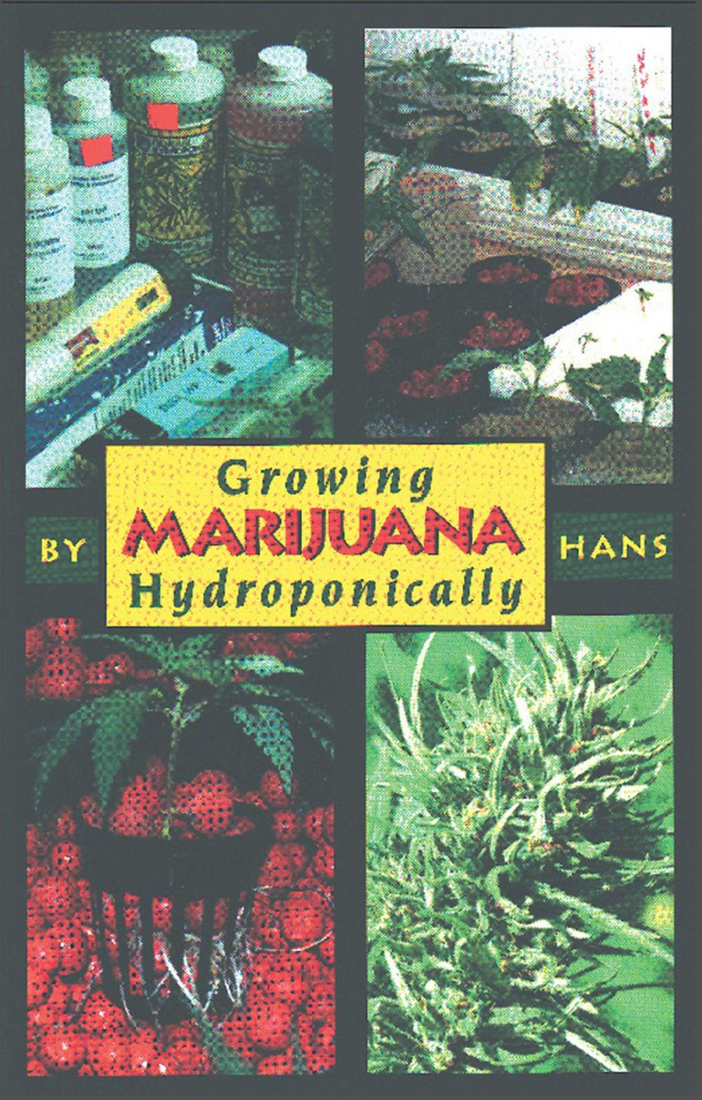 Big bigCover of Growing Marijuana Hydroponically