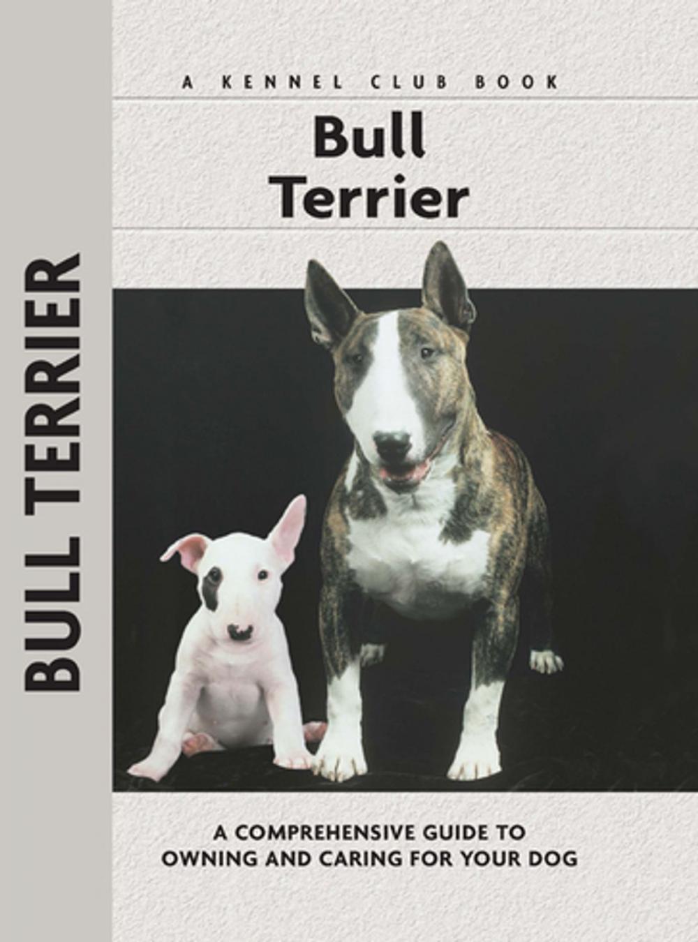 Big bigCover of Bull Terrier