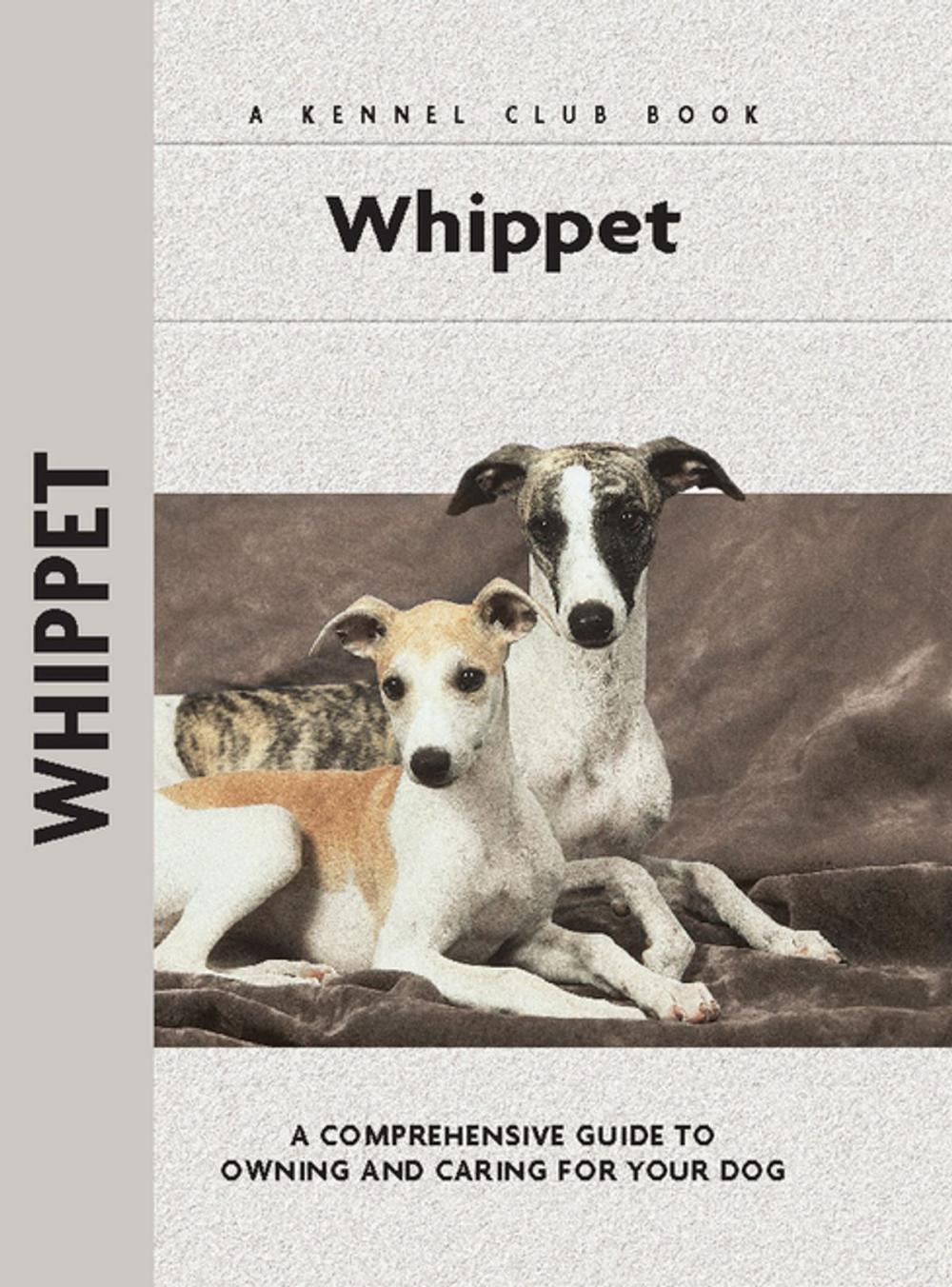 Big bigCover of Whippet