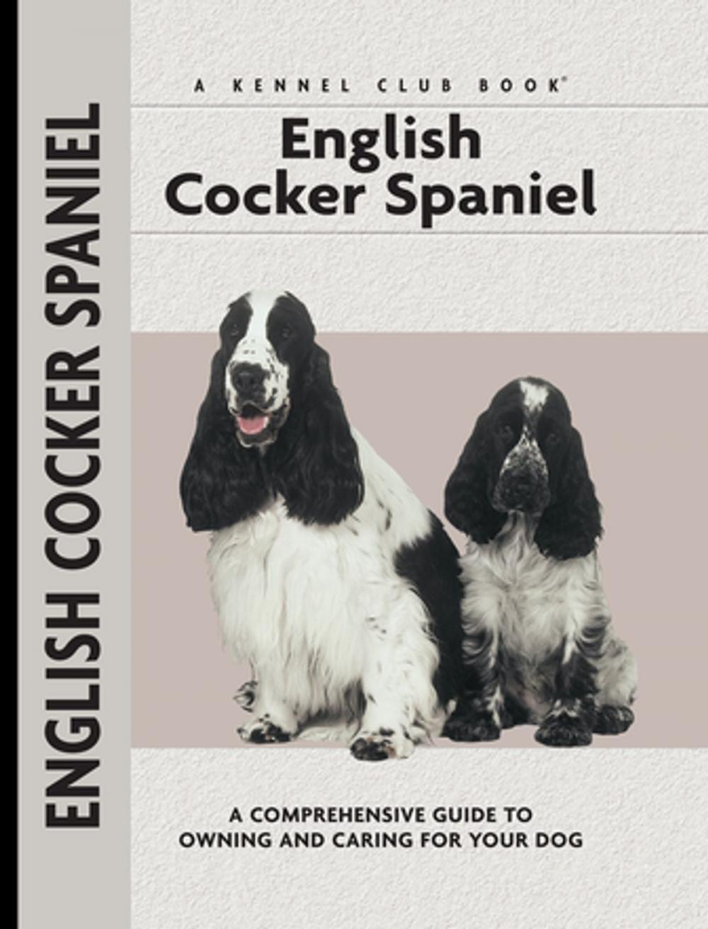 Big bigCover of English Cocker Spaniel