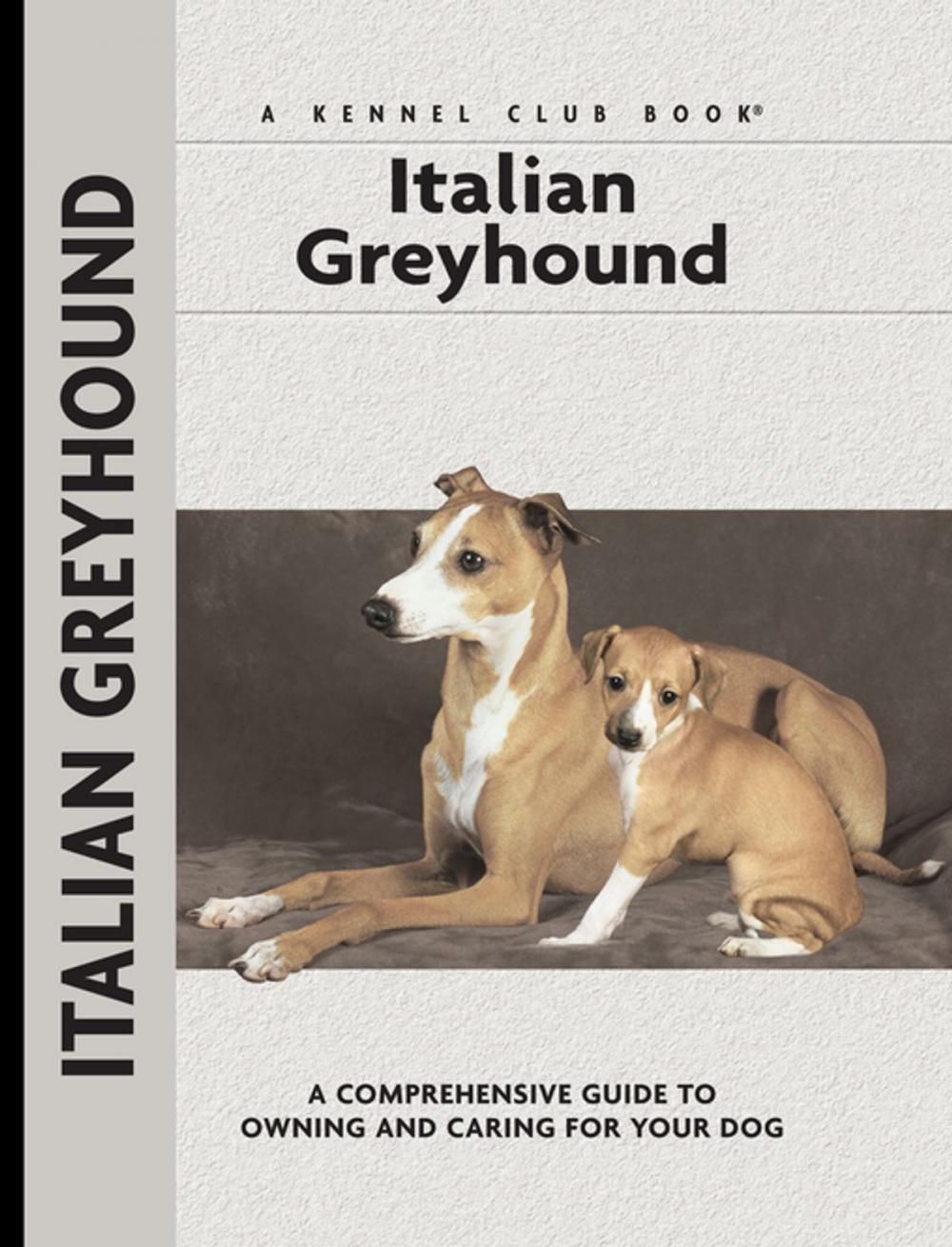 Big bigCover of Italian Greyhound