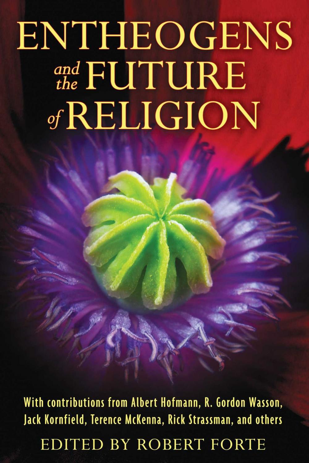 Big bigCover of Entheogens and the Future of Religion
