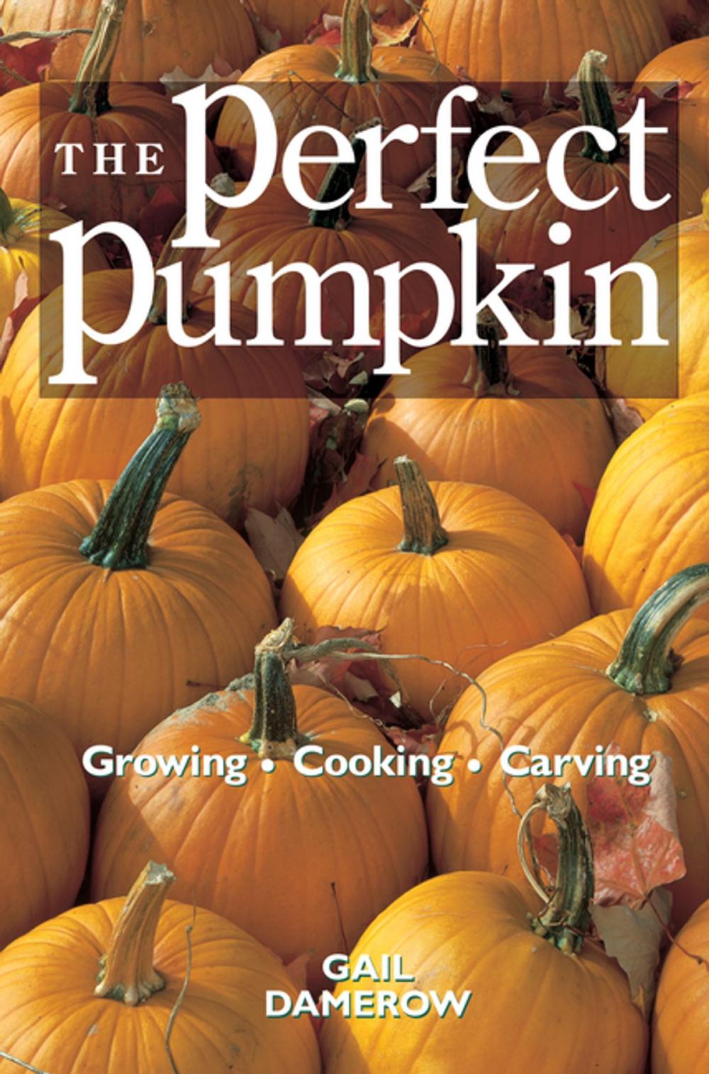 Big bigCover of The Perfect Pumpkin