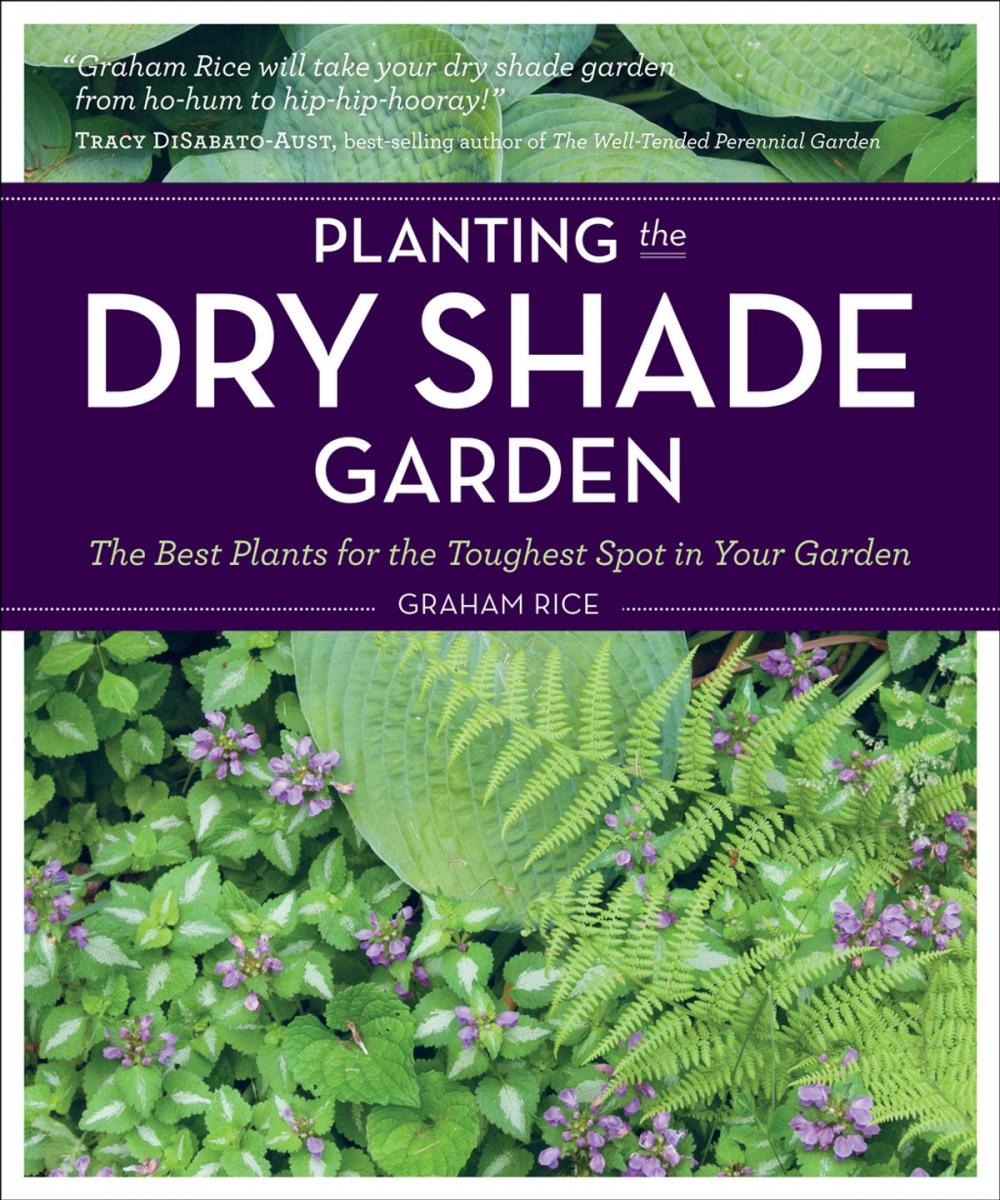 Big bigCover of Planting the Dry Shade Garden