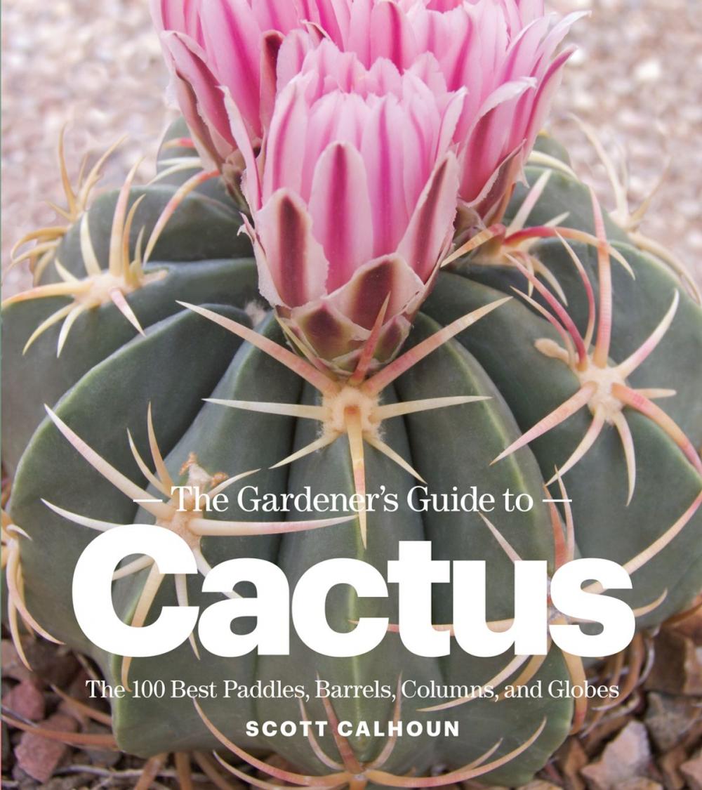 Big bigCover of The Gardener's Guide to Cactus