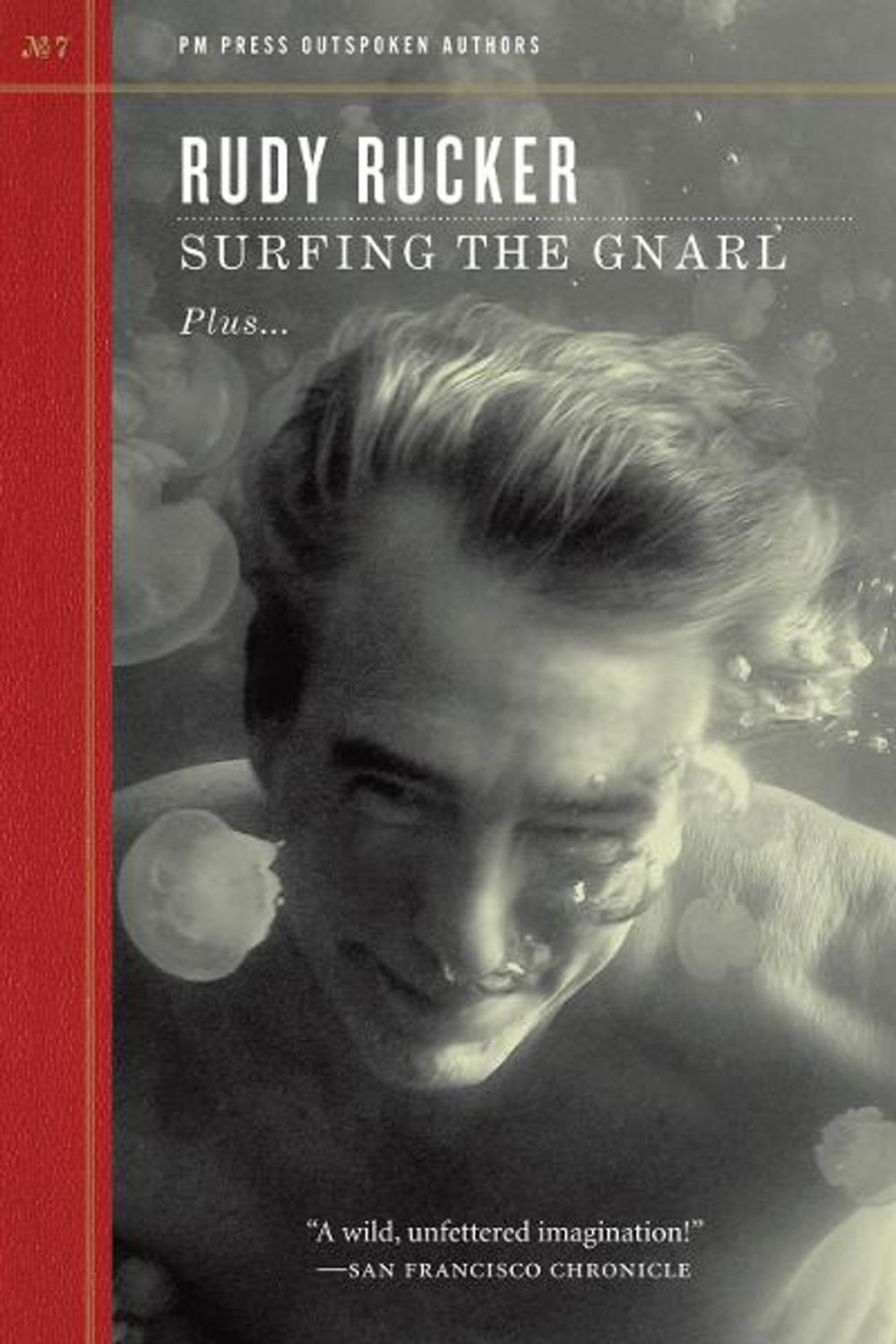 Big bigCover of Surfing the Gnarl