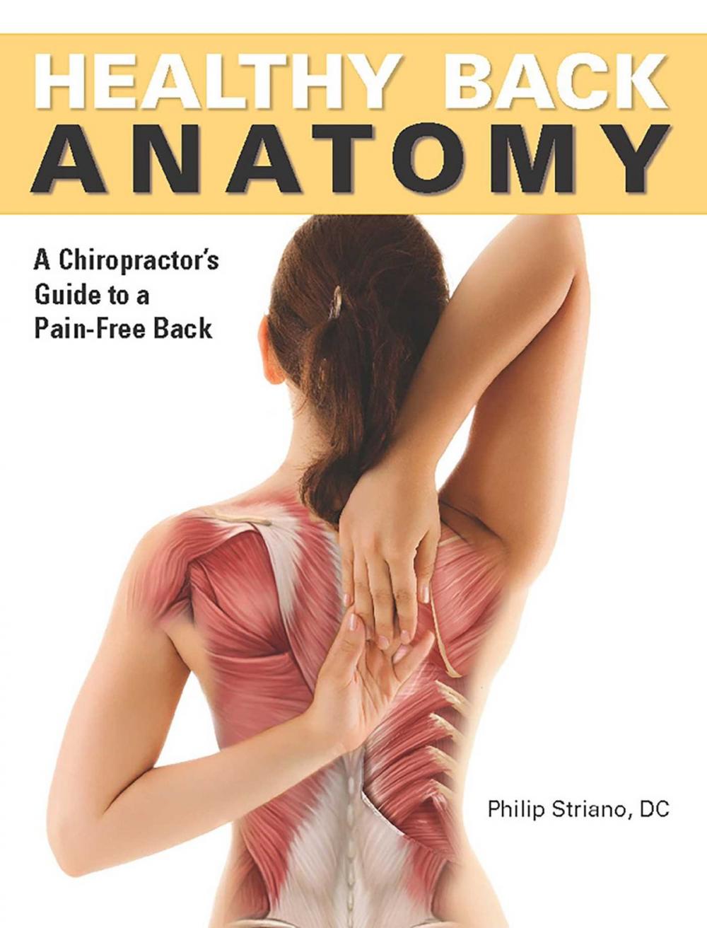 Big bigCover of Healthy Back Anatomy