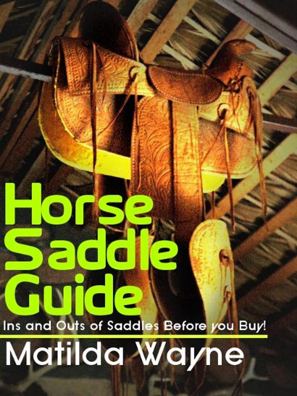 Big bigCover of Horse Saddle Guide: Ins and Outs of Saddles Before you Buy!