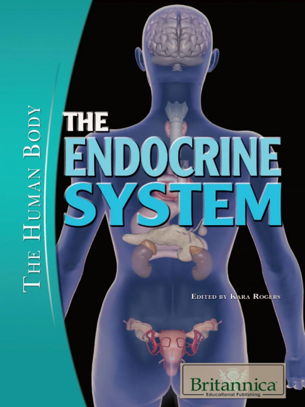 Big bigCover of The Endocrine System