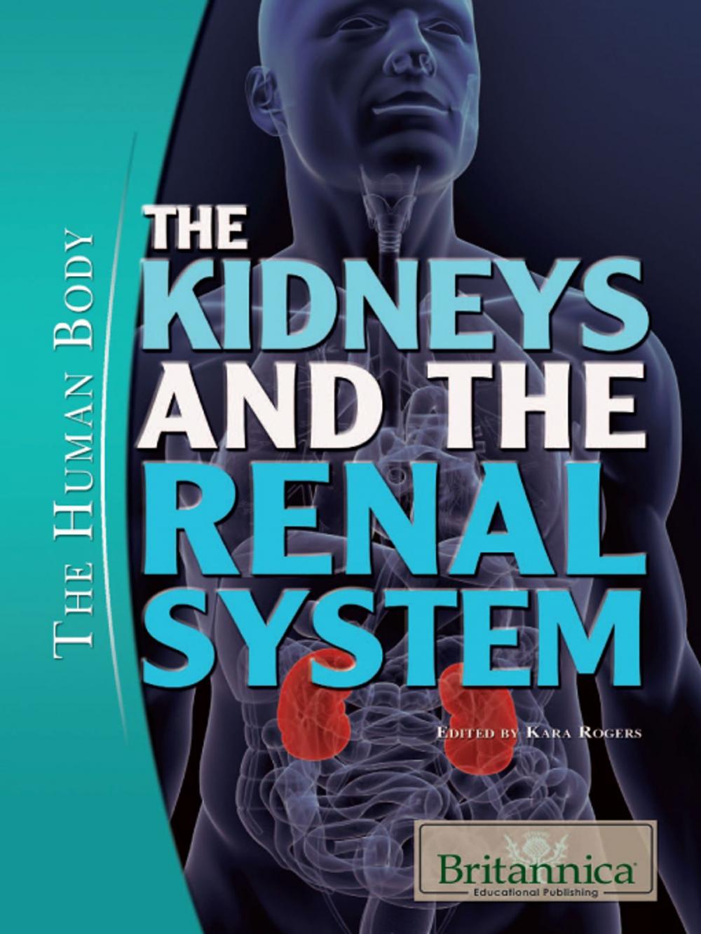 Big bigCover of The Kidneys and the Renal System