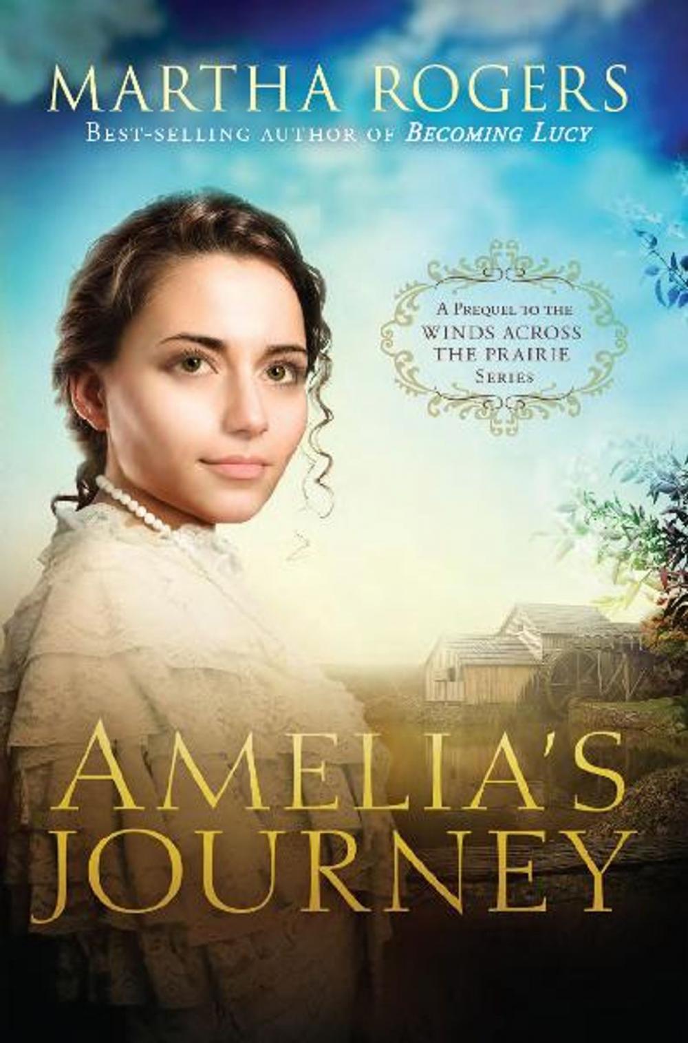 Big bigCover of Amelia's Journey