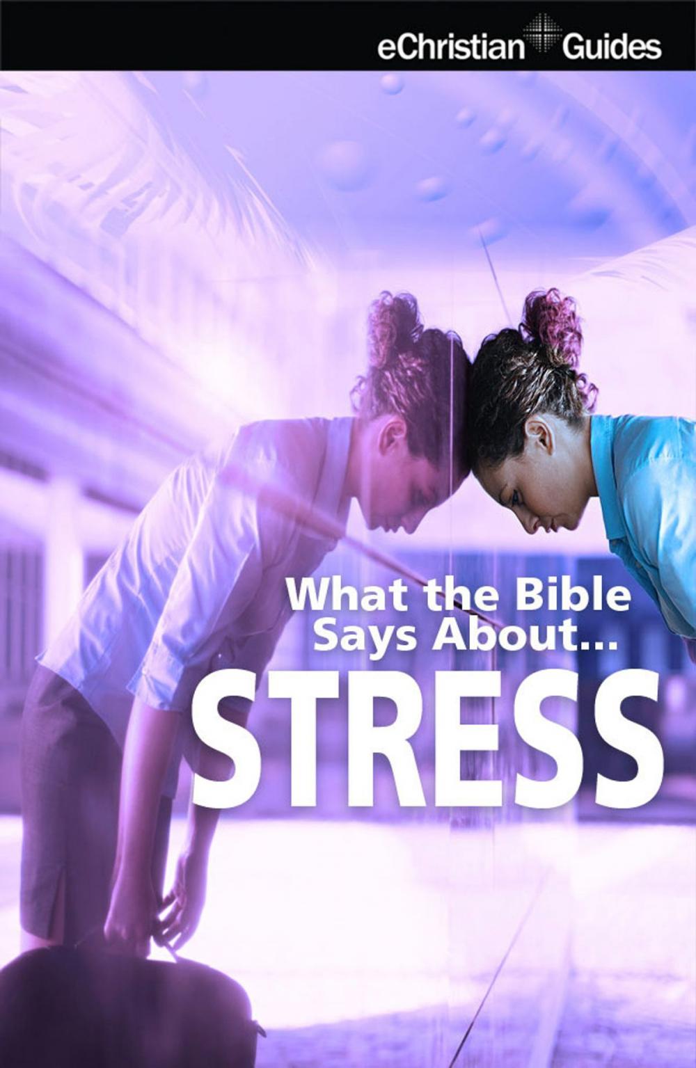 Big bigCover of What the Bible Says About Stress