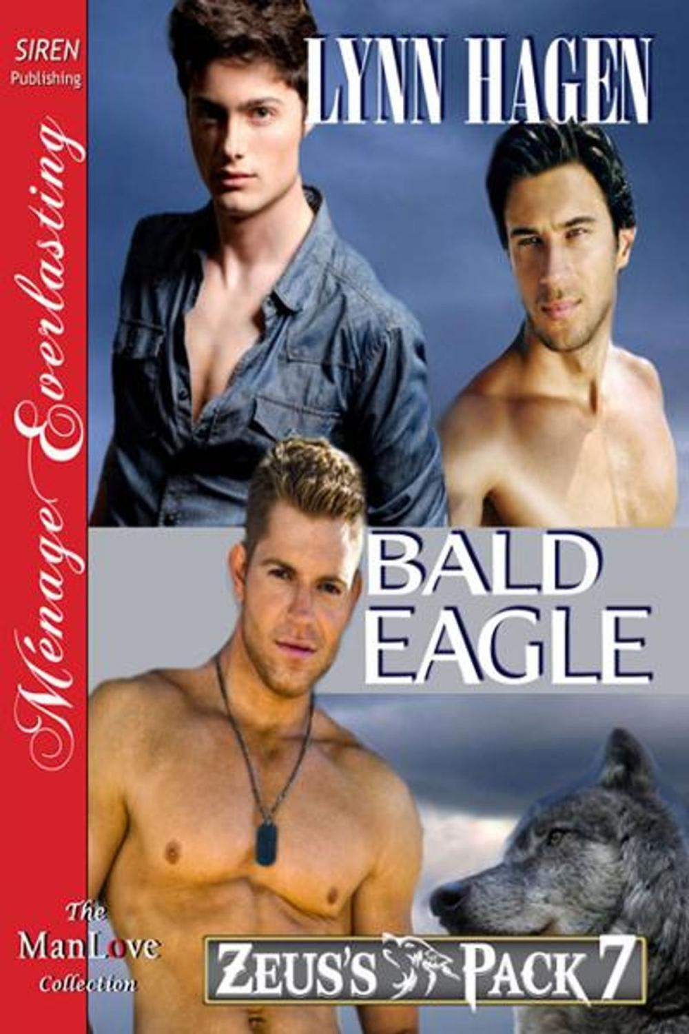 Big bigCover of Bald Eagle