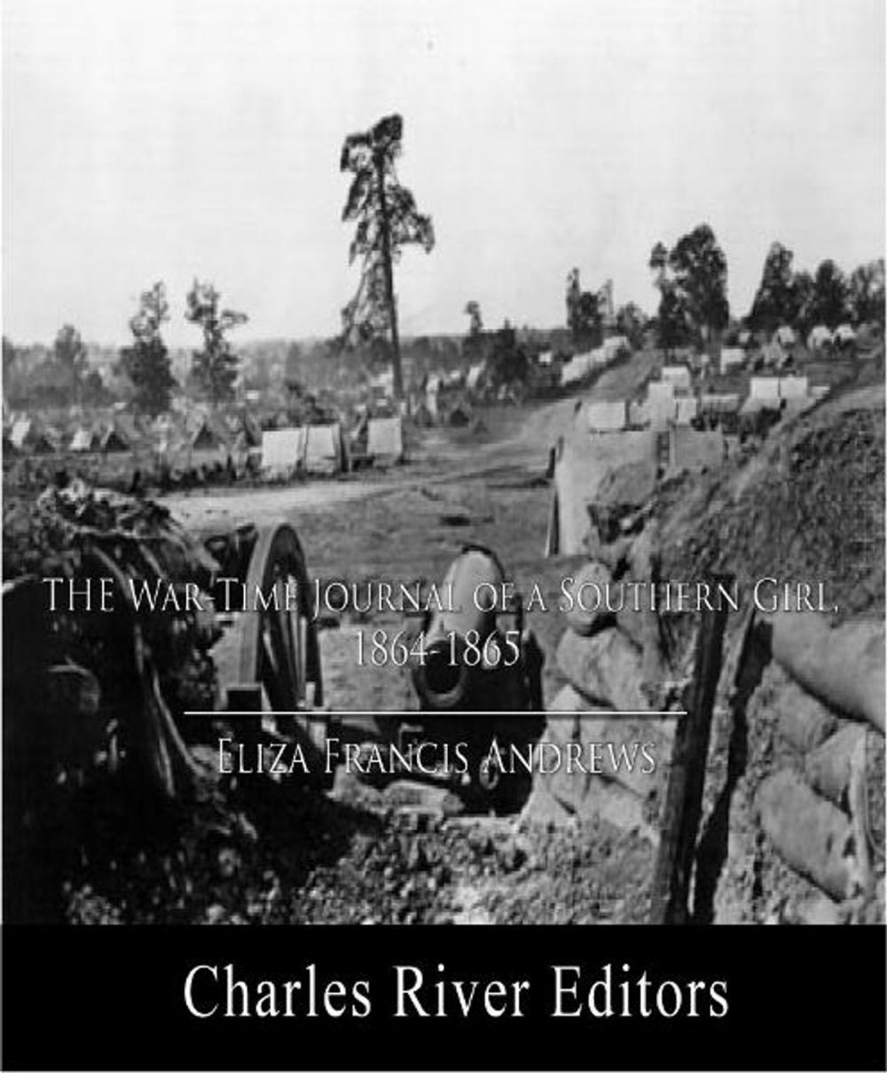 Big bigCover of The War-time Journal of a Georgia Girl, 1864-1865