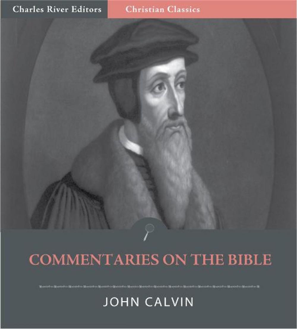 Big bigCover of Commentaries on The Bible (Illustrated Edition)