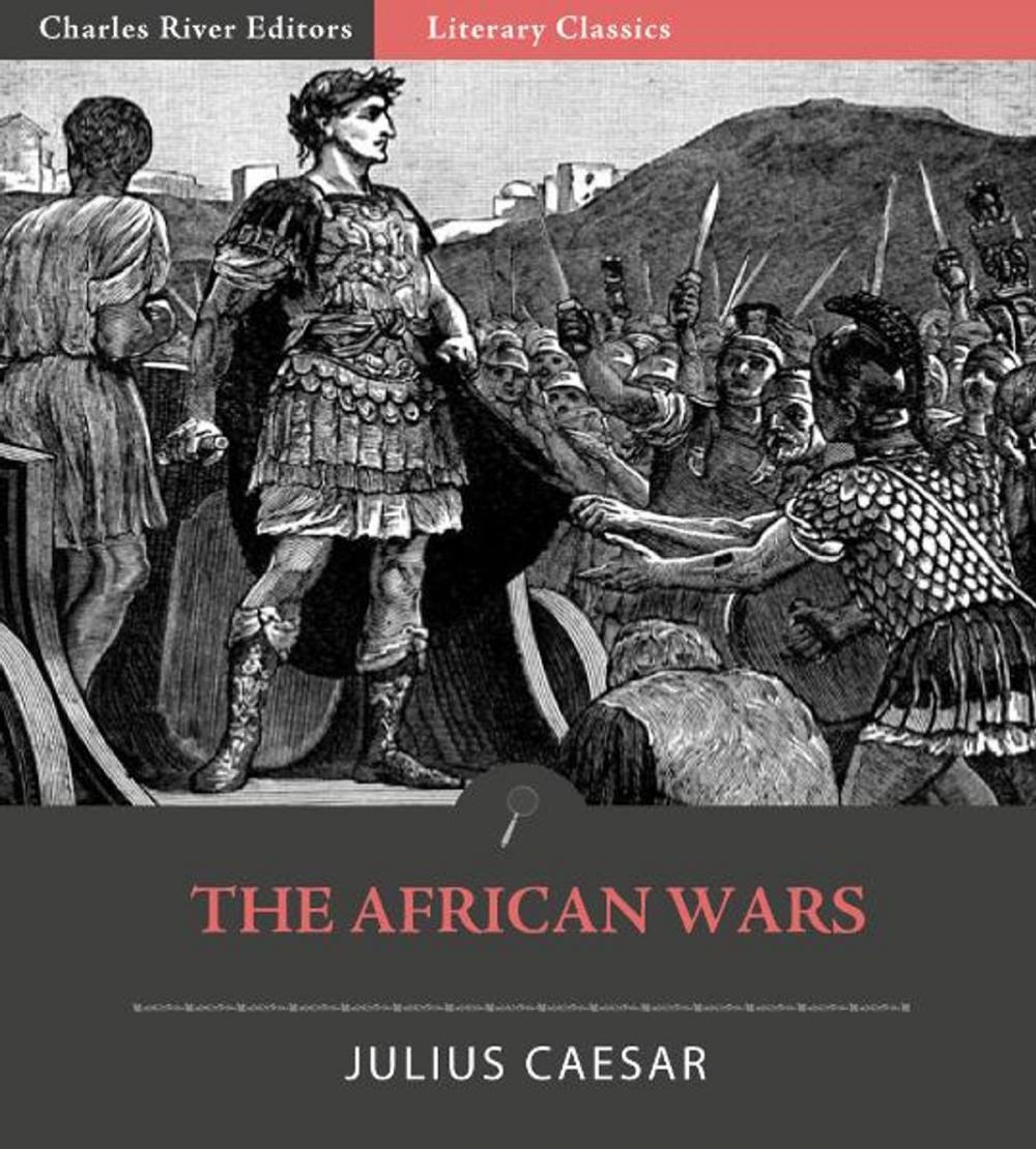 Big bigCover of The African Wars